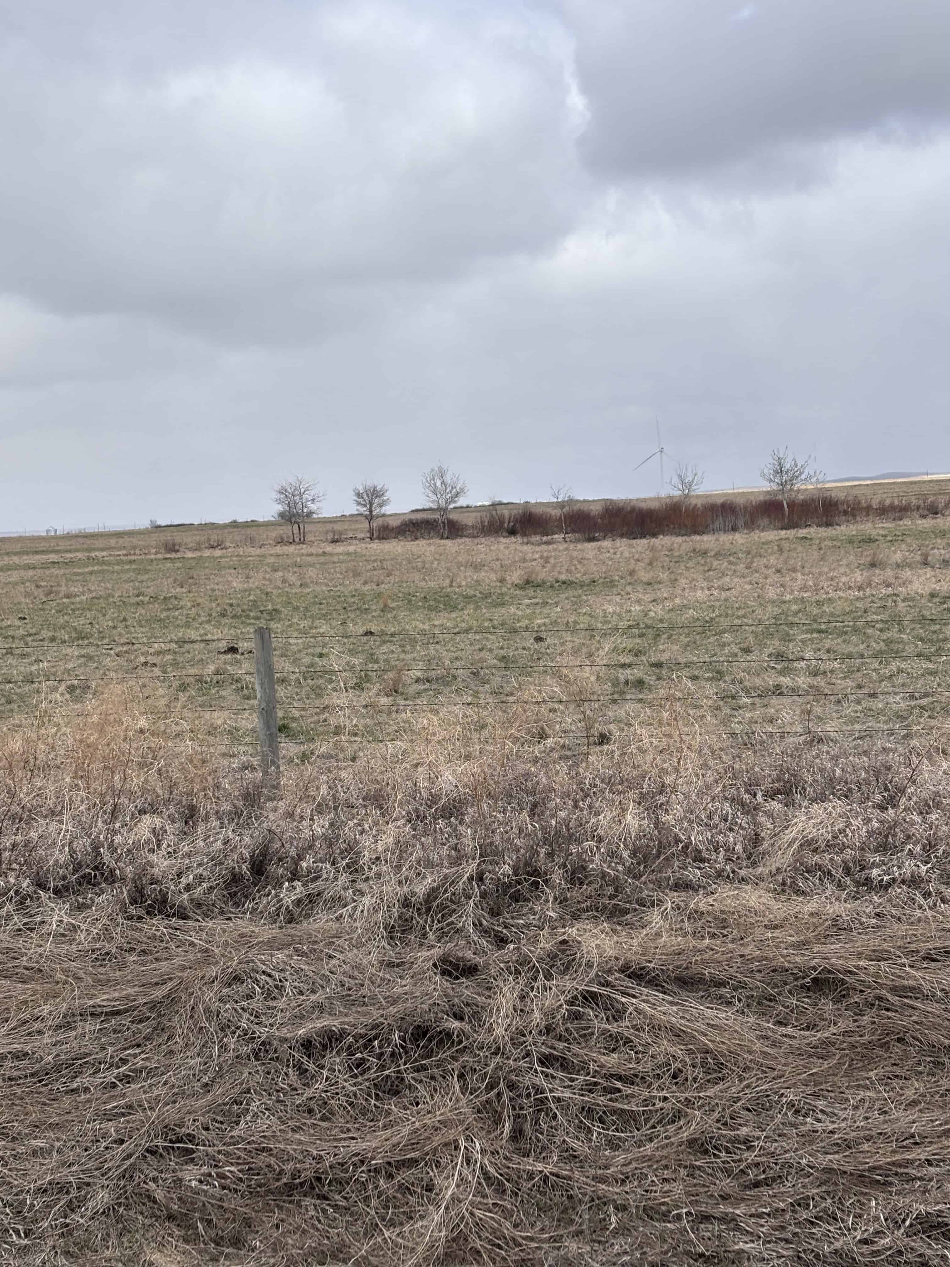 Sedalia AB