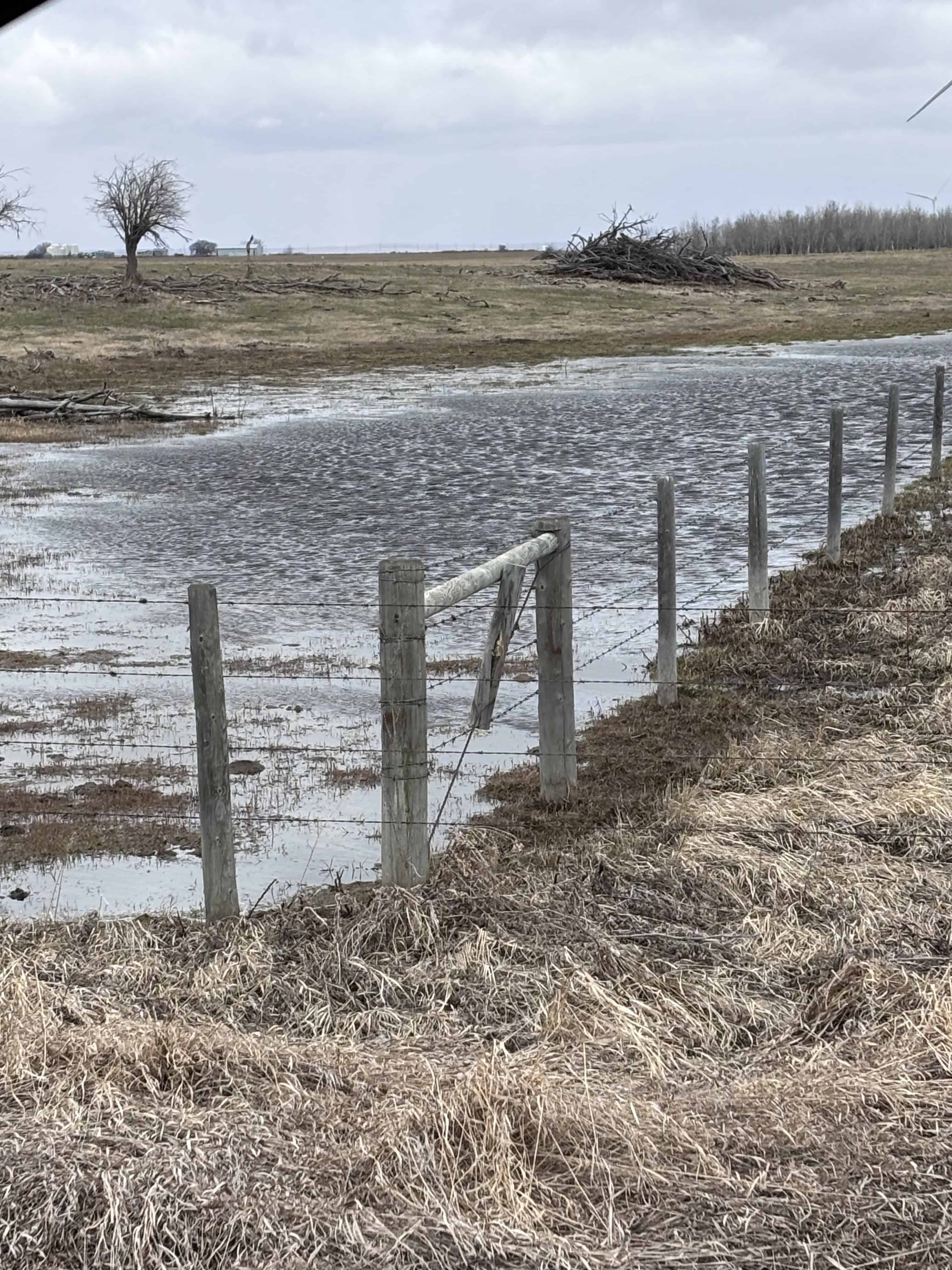 Sedalia AB