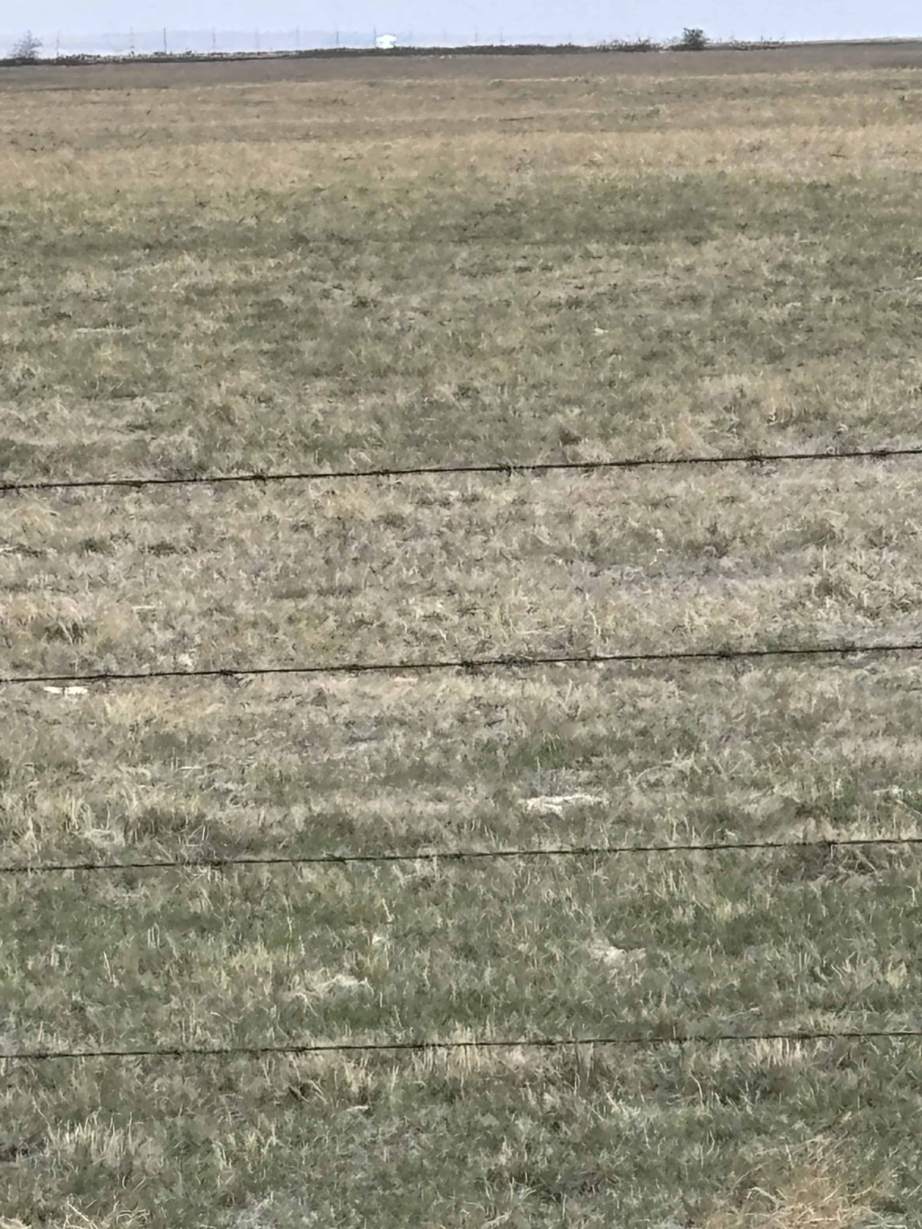 Sedalia AB