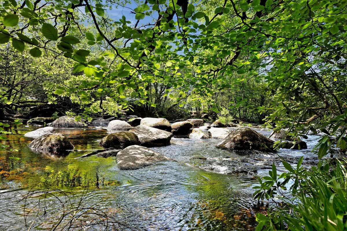 Dartmeet, Yelverton Devon UK PL20