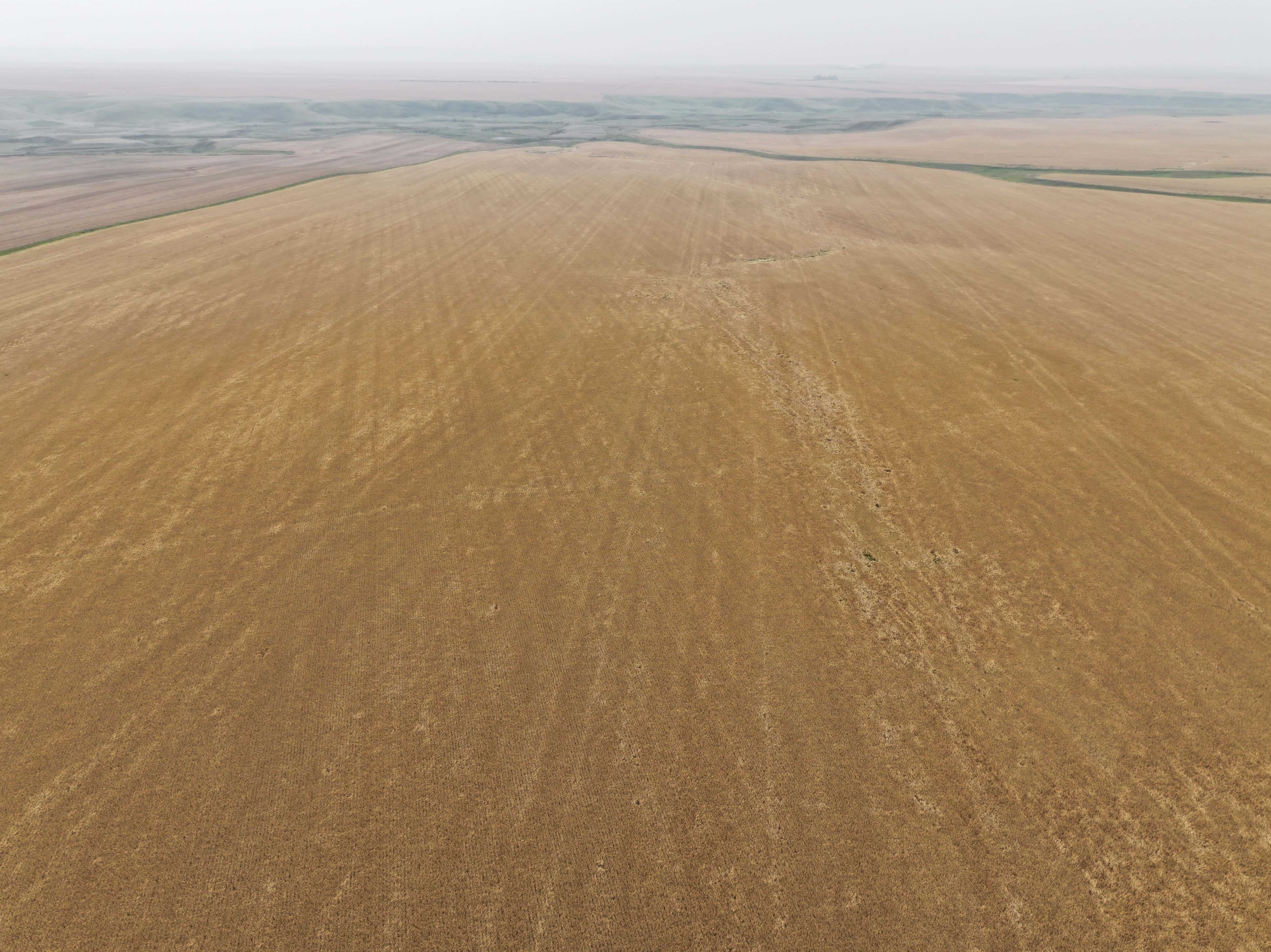 NE 25-26-23 W4 Rockyford AB