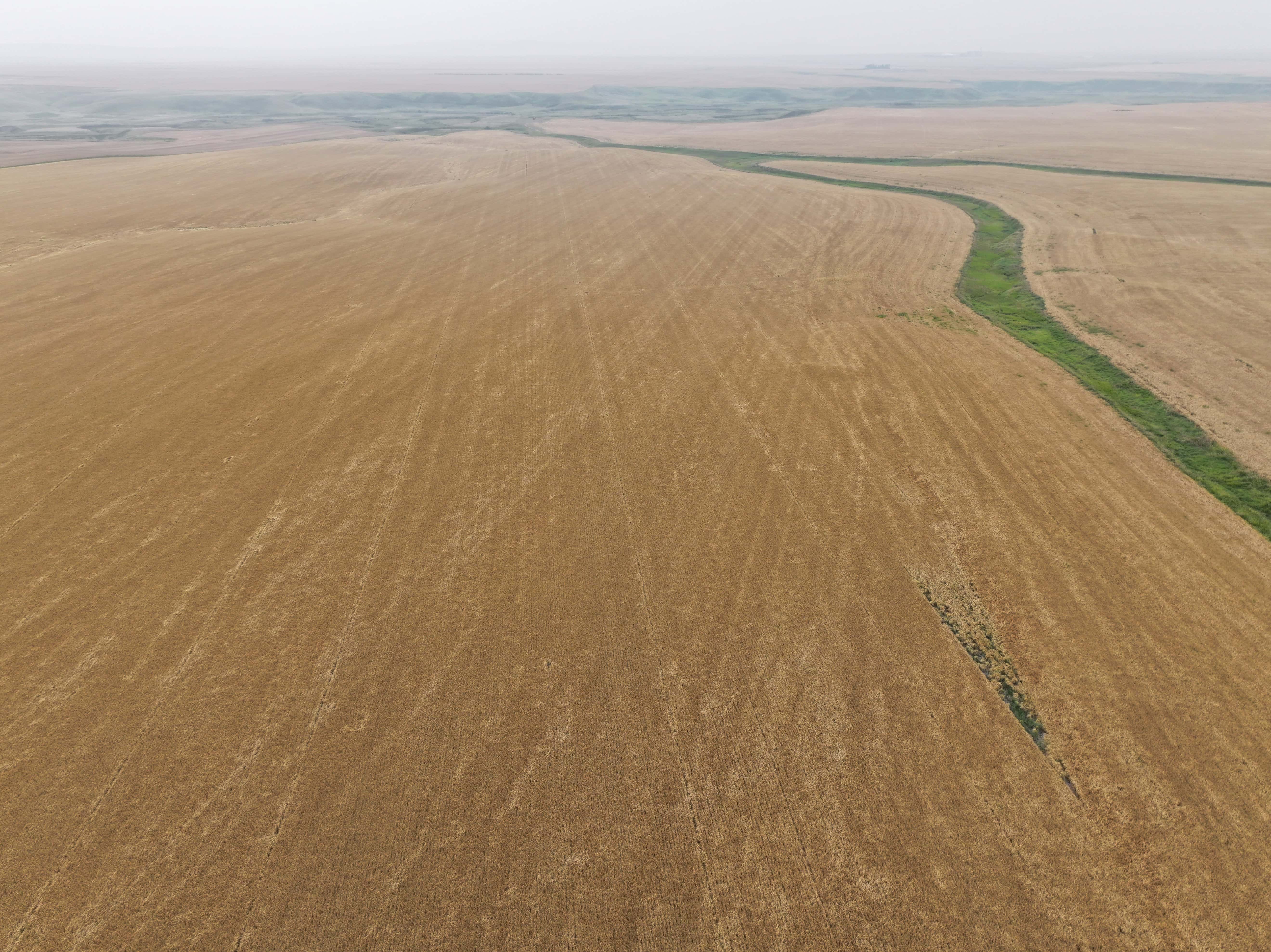 NE 25-26-23 W4 Rockyford AB