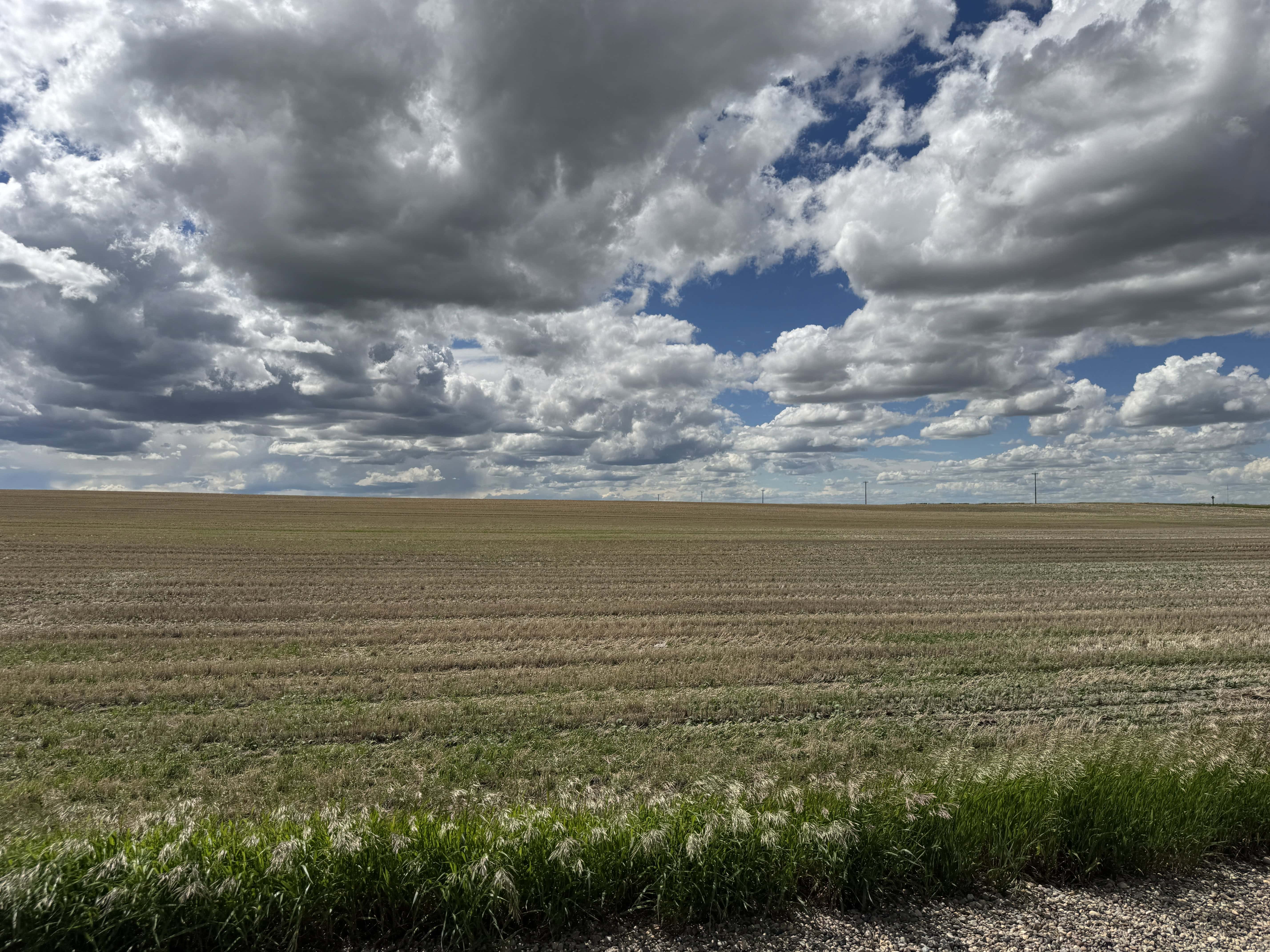ON Rr 220 County Of Lethbridge AB T1K 7N3