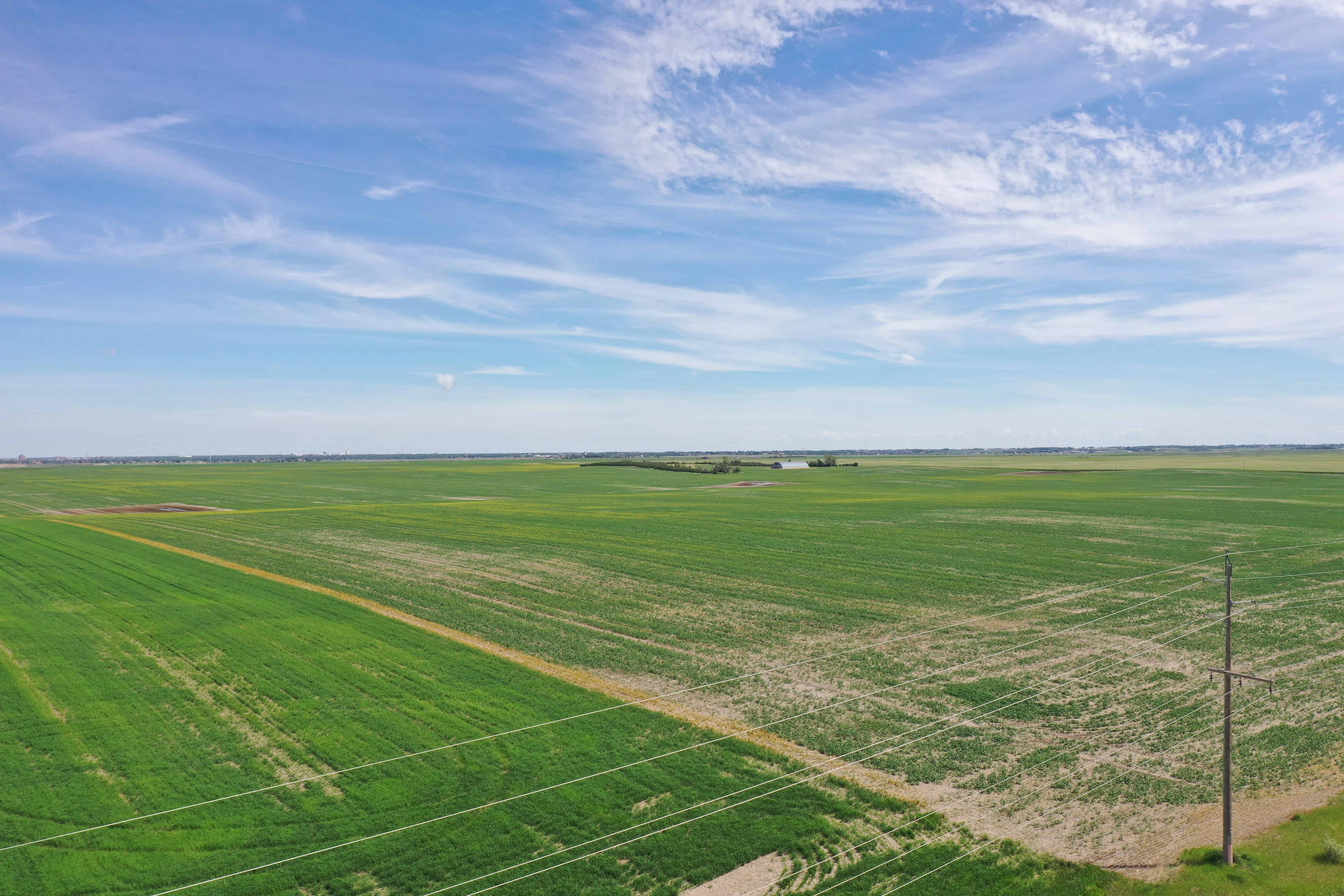 ON Rr 220 County Of Lethbridge AB T1K 7N3