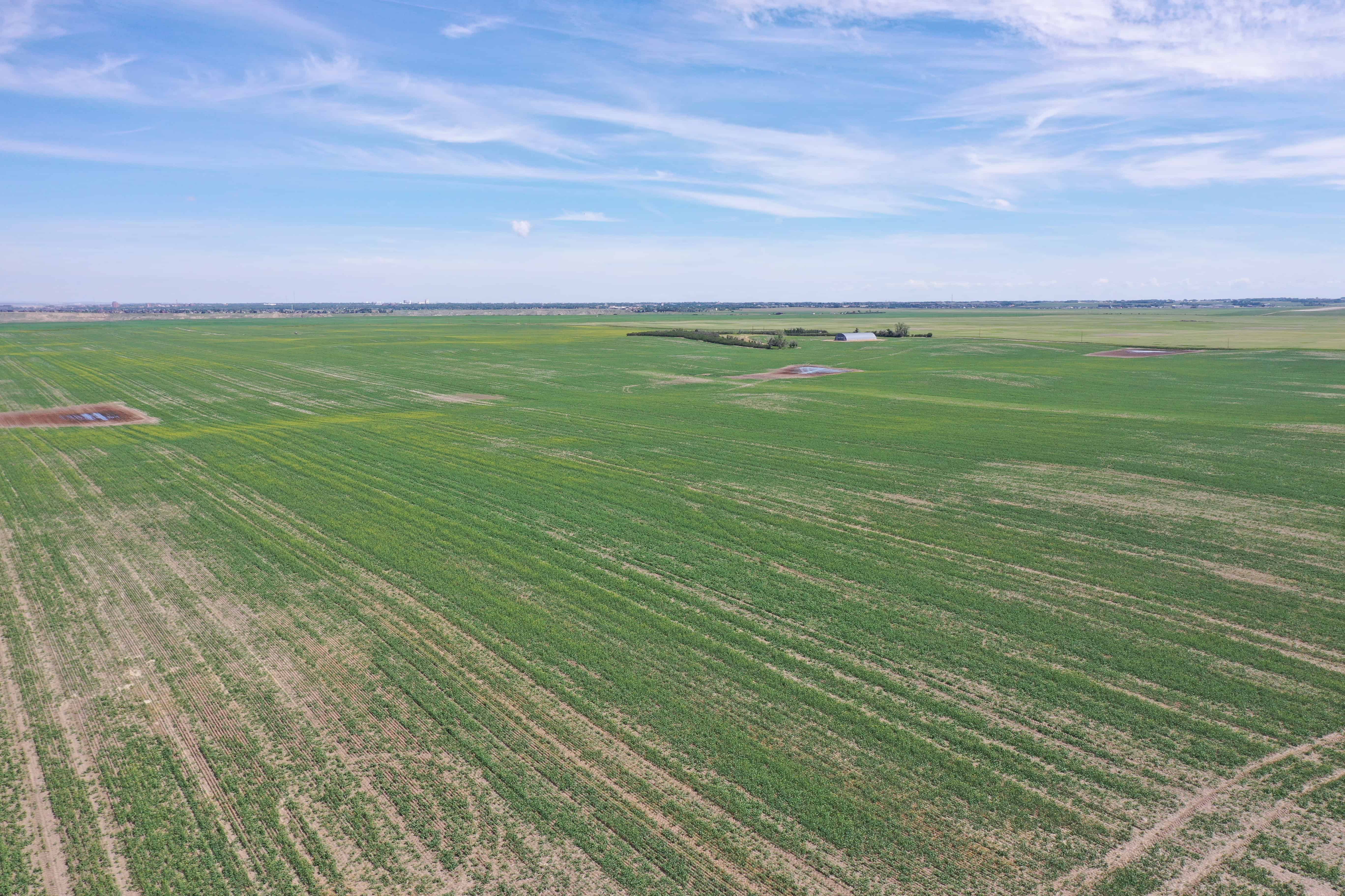 ON Rr 220 County Of Lethbridge AB T1K 7N3