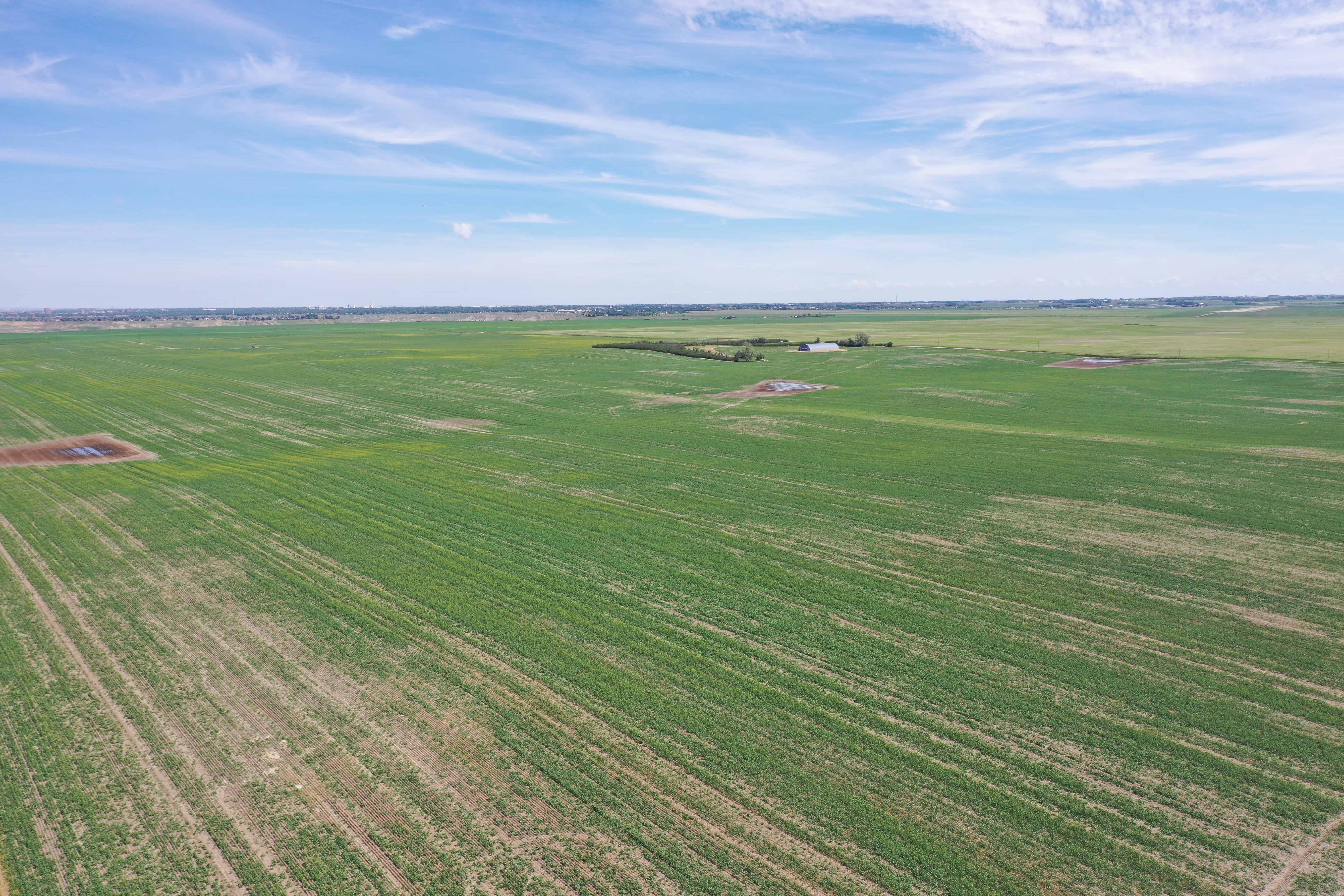 ON Rr 220 County Of Lethbridge AB T1K 7N3