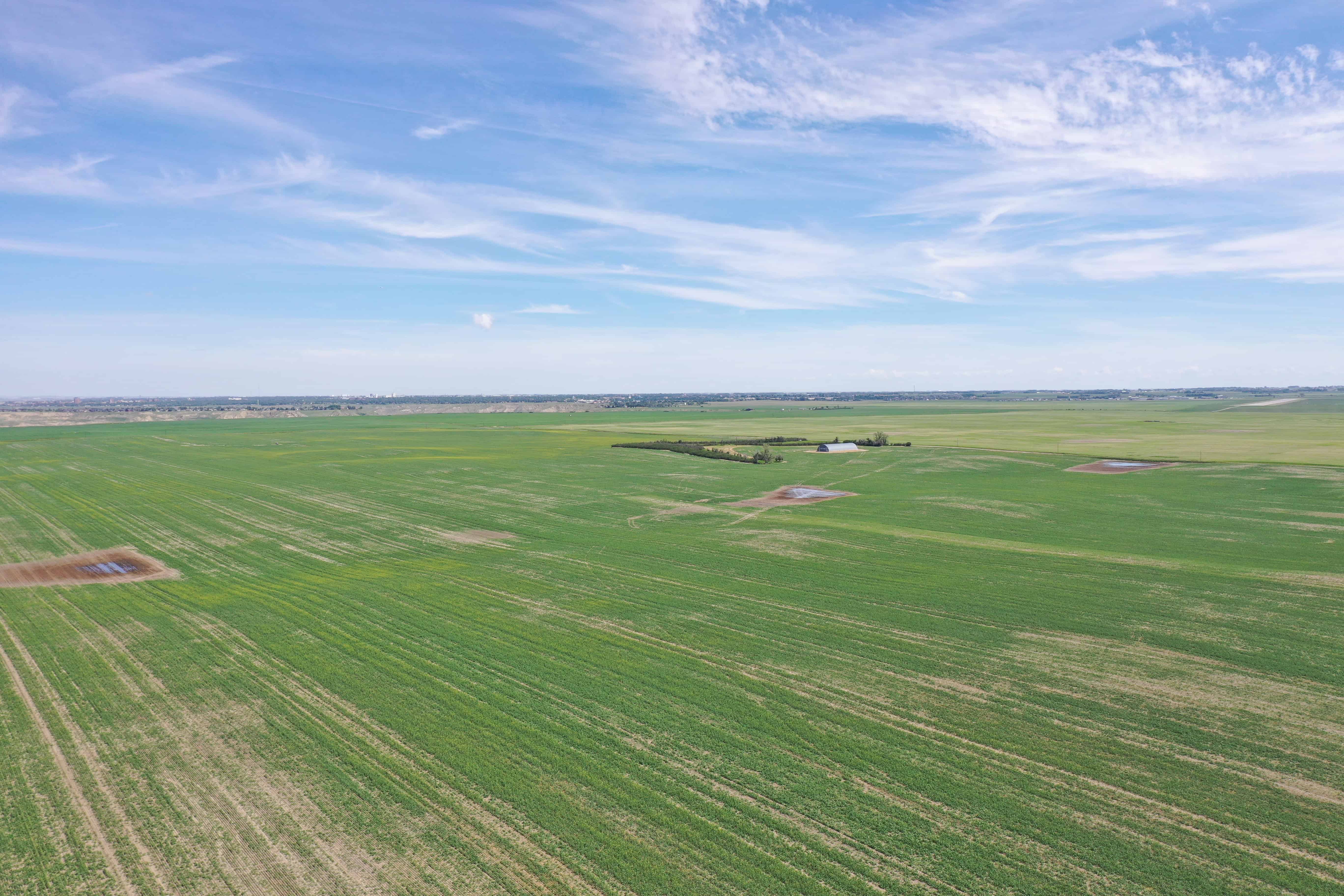 ON Rr 220 County Of Lethbridge AB T1K 7N3
