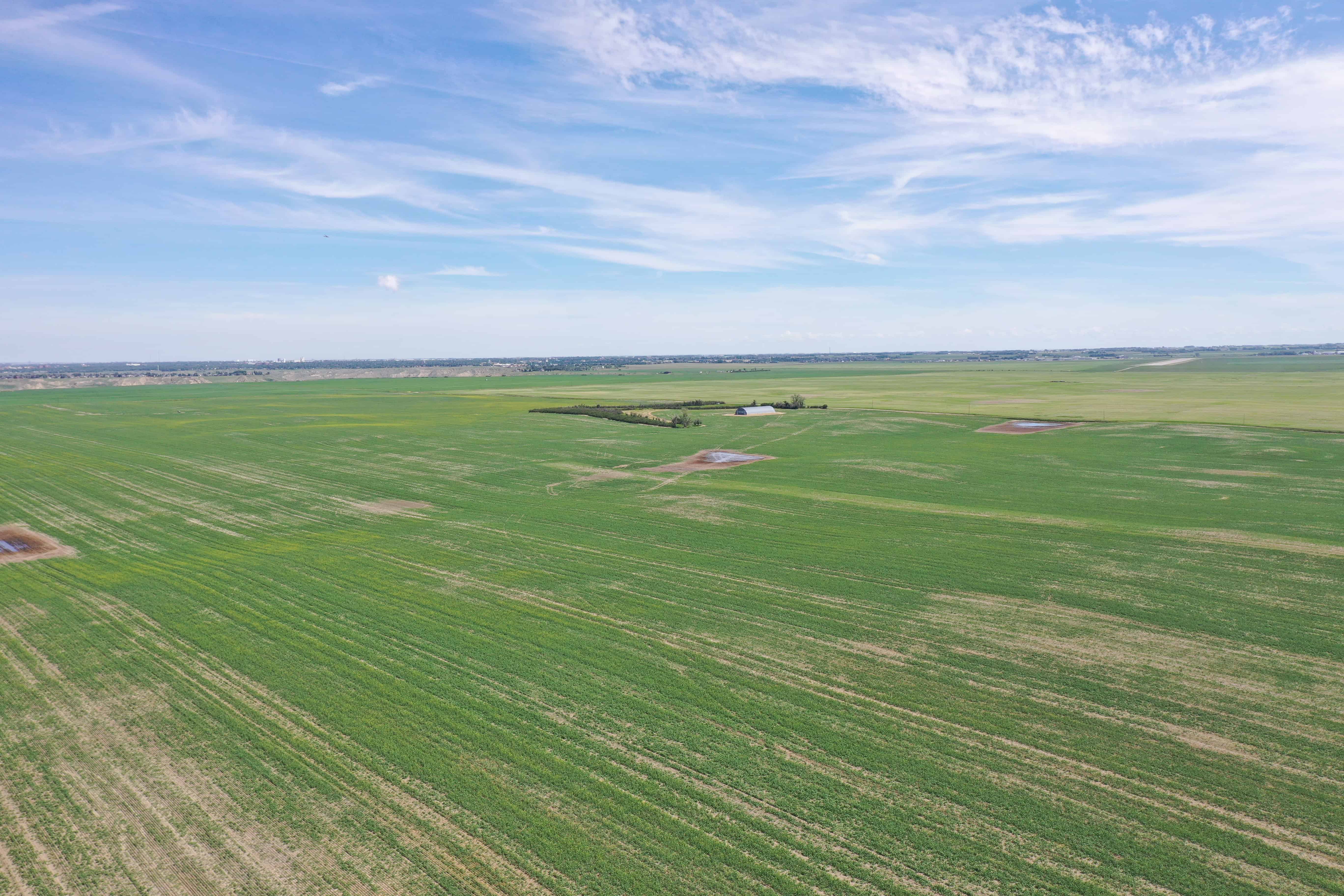 ON Rr 220 County Of Lethbridge AB T1K 7N3