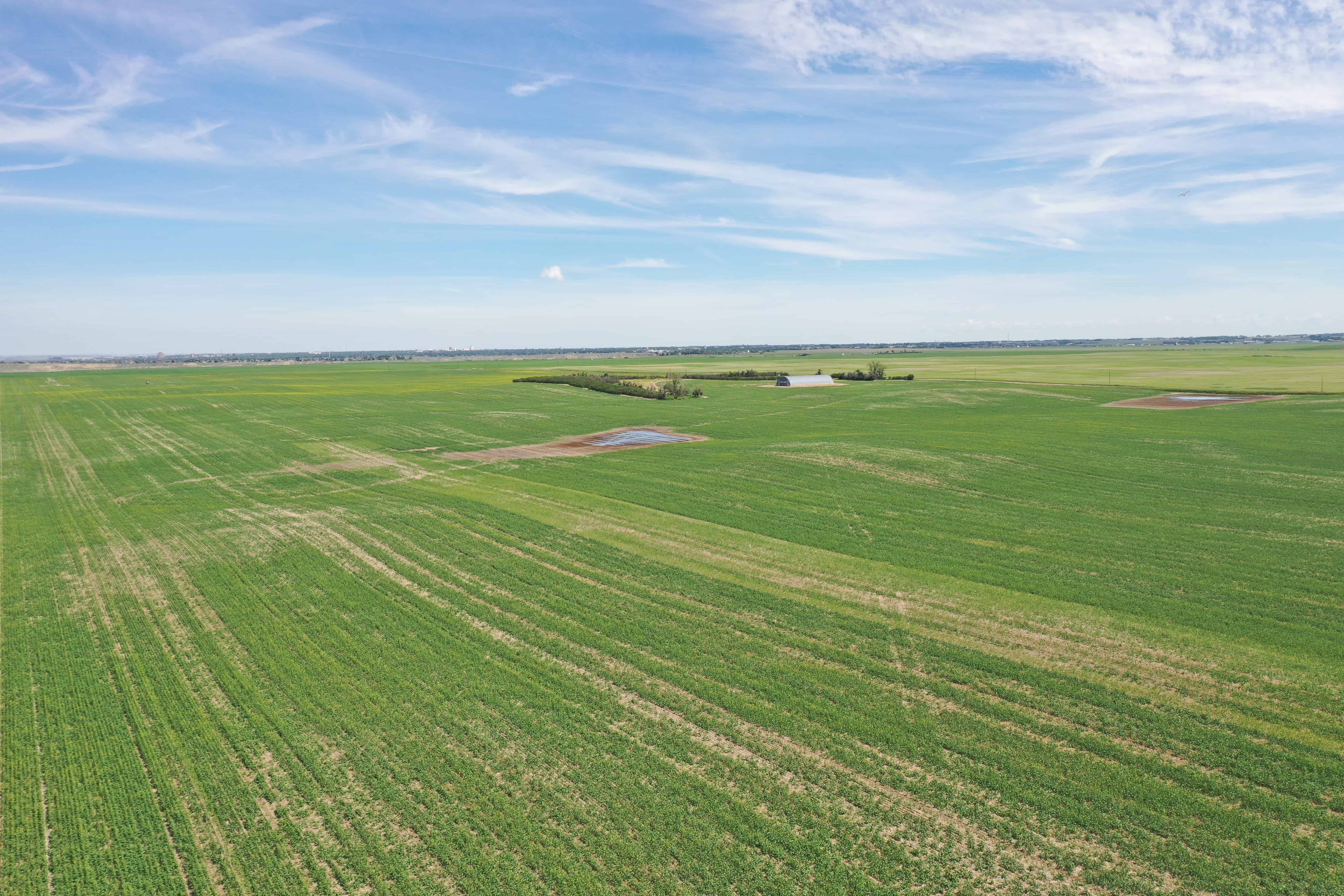 ON Rr 220 County Of Lethbridge AB T1K 7N3