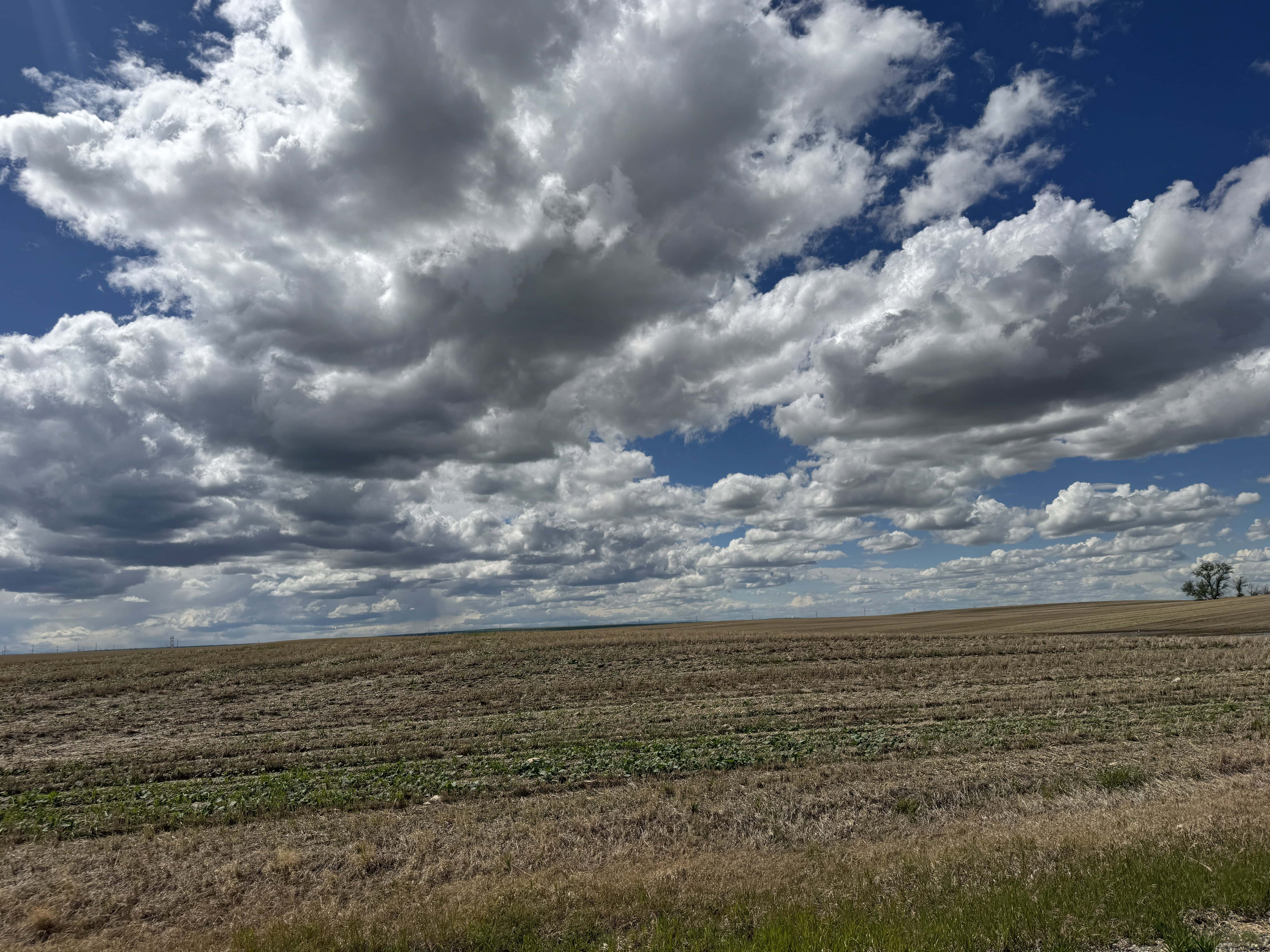 ON Rr 220 County Of Lethbridge AB T1K 7N3