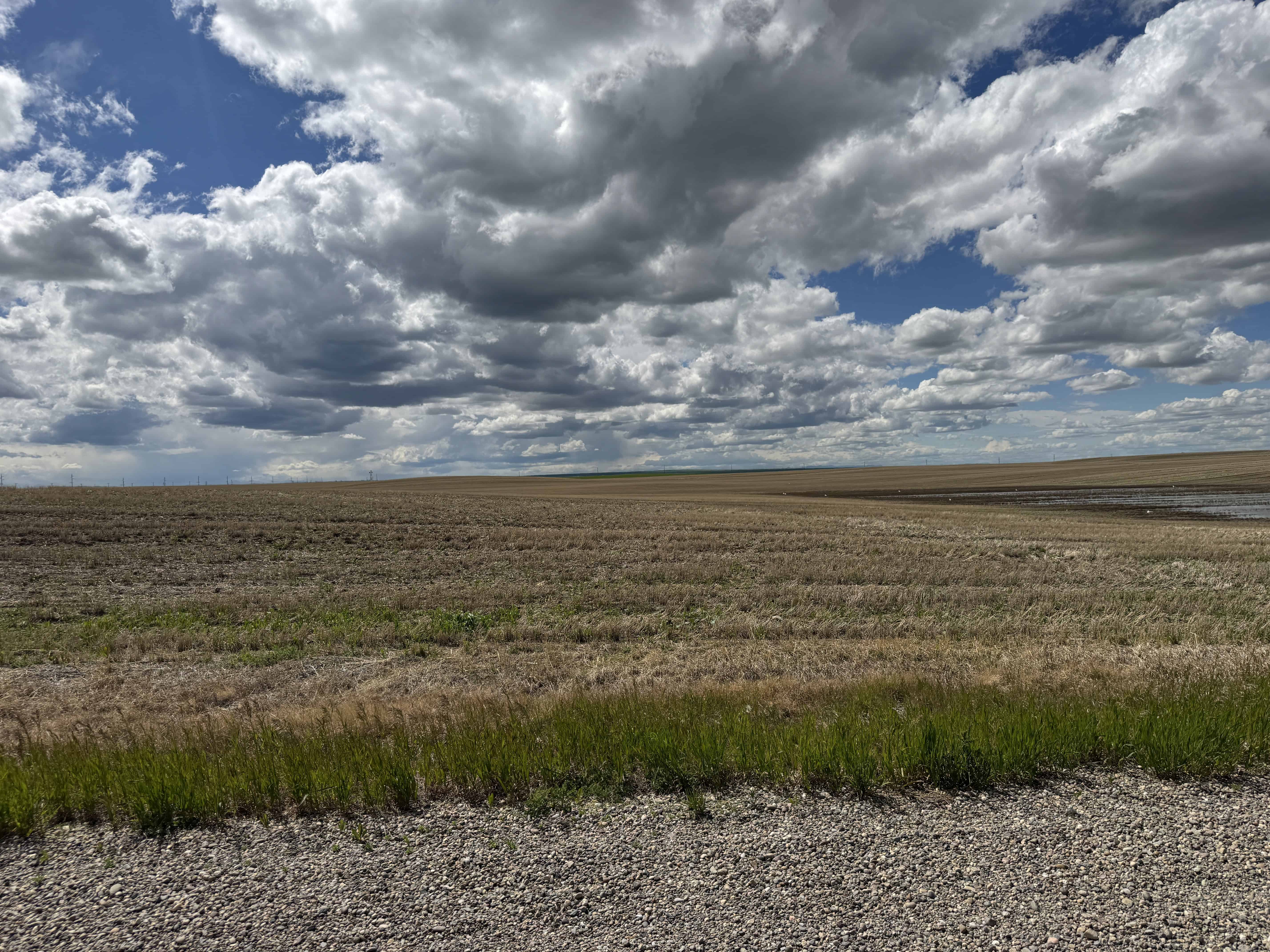ON Rr 220 County Of Lethbridge AB T1K 7N3