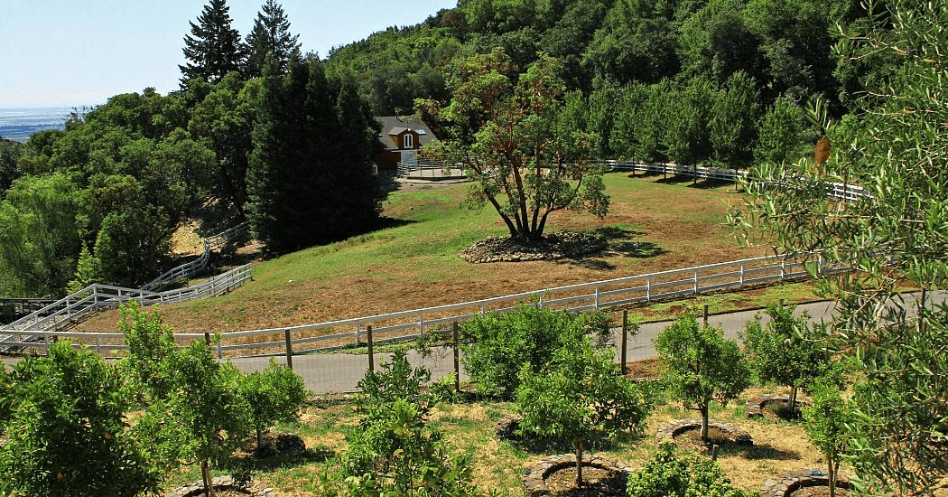 18730 Canyon Road Sonoma CA 95476