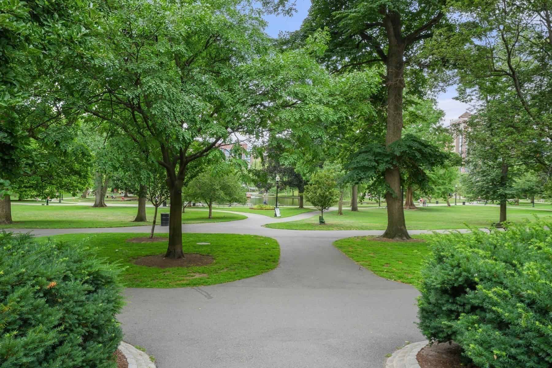 81 Beacon Street, Unit 5, Boston, MA 02108