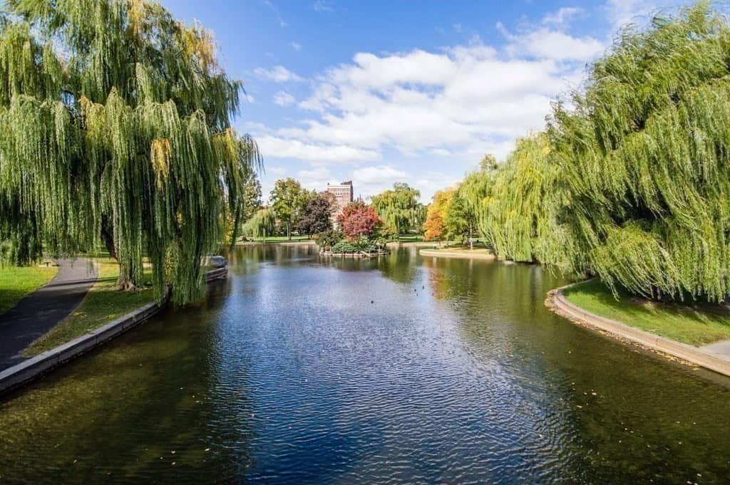 81 Beacon Street, Unit 5, Boston, MA 02108