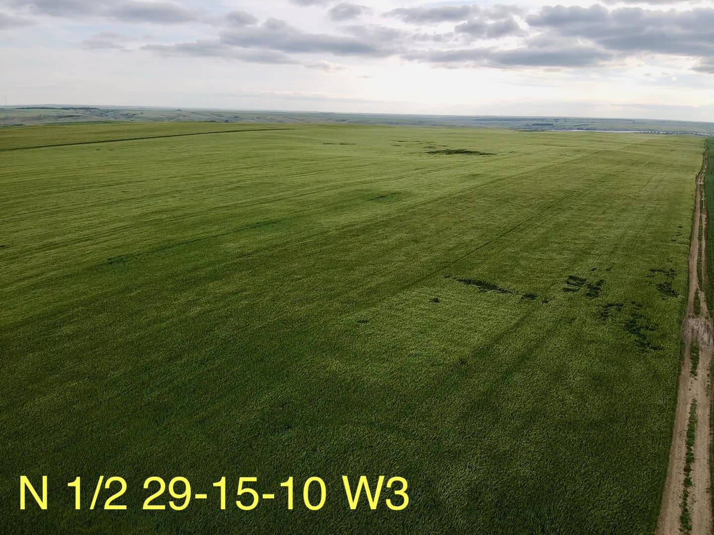 NW 25 15 11 W3 Rush Lake SK S0H 3S0