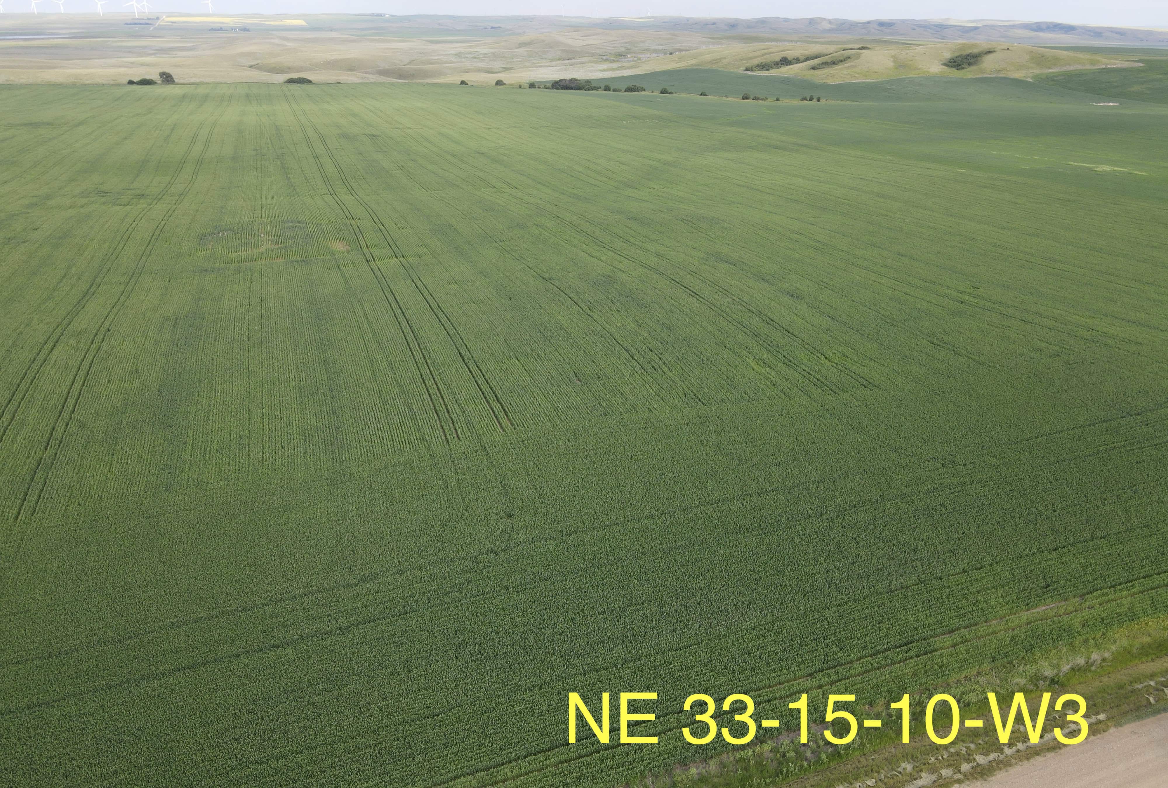 NW 25 15 11 W3 Rush Lake SK S0H 3S0