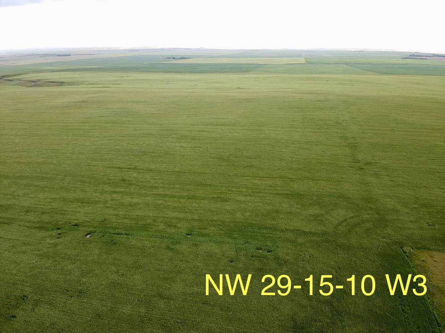 NW 25 15 11 W3 Rush Lake SK S0H 3S0