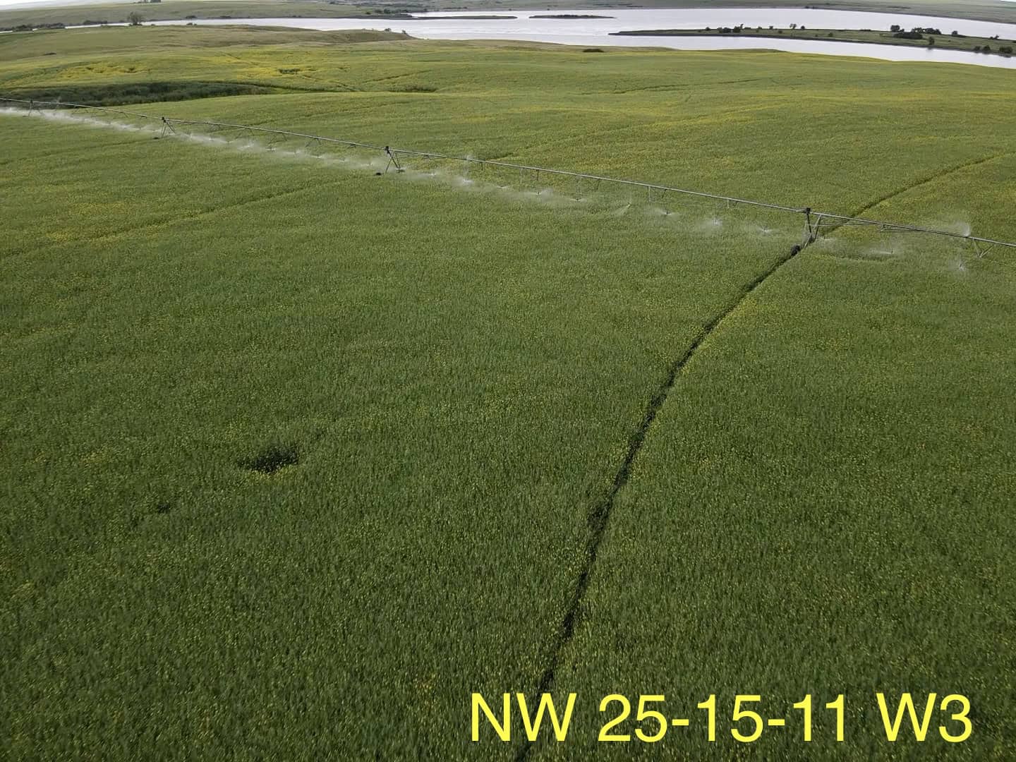 NW 25 15 11 W3 Rush Lake SK S0H 3S0