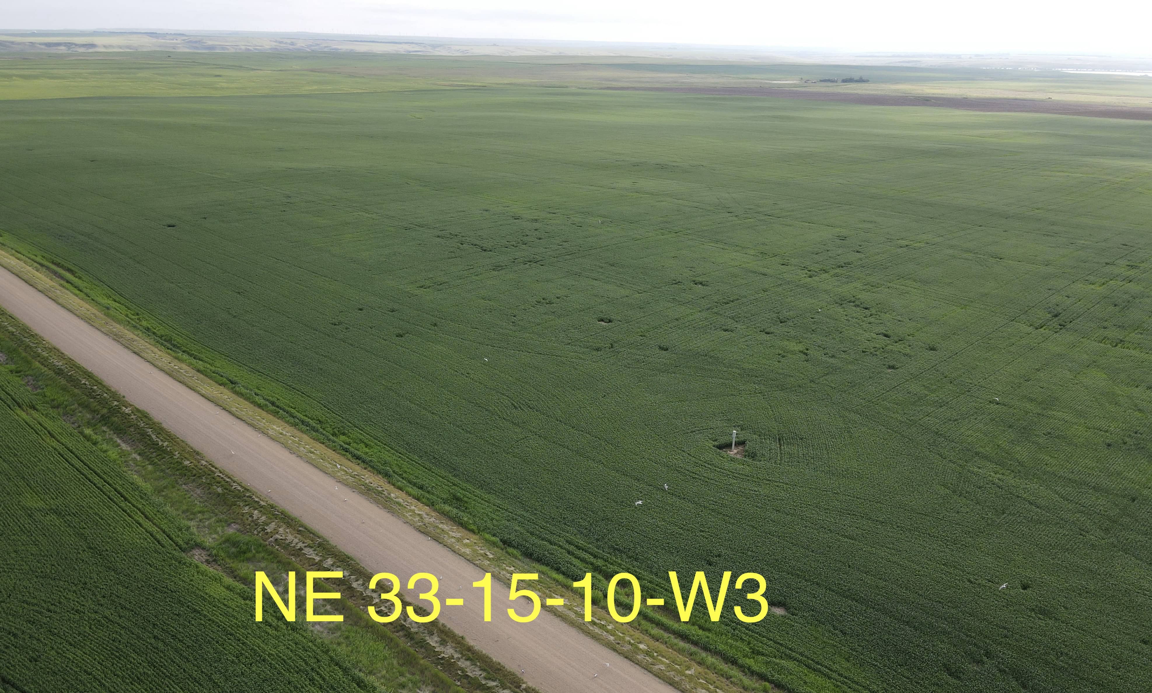 NW 25 15 11 W3 Rush Lake SK S0H 3S0