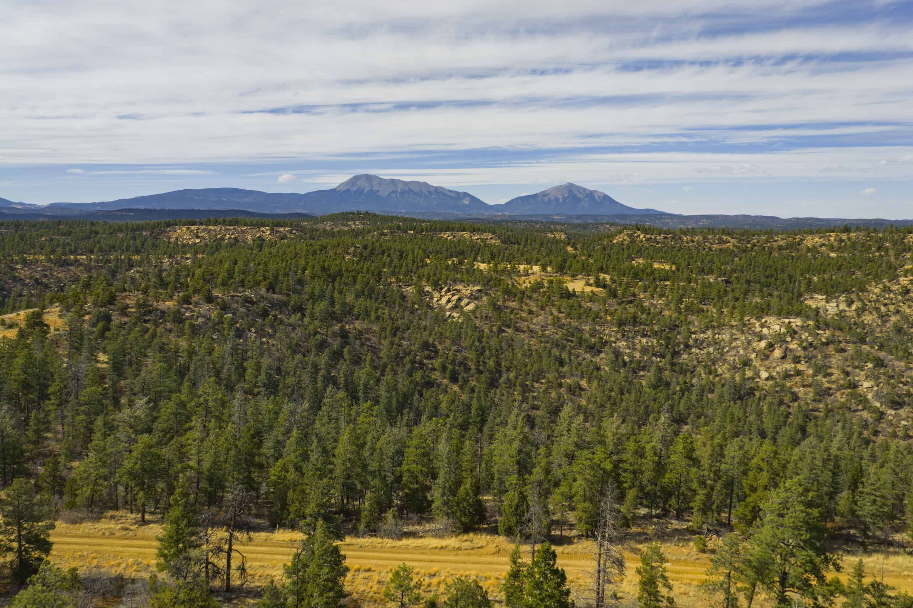 14900 Sh 12 Weston CO 81091
