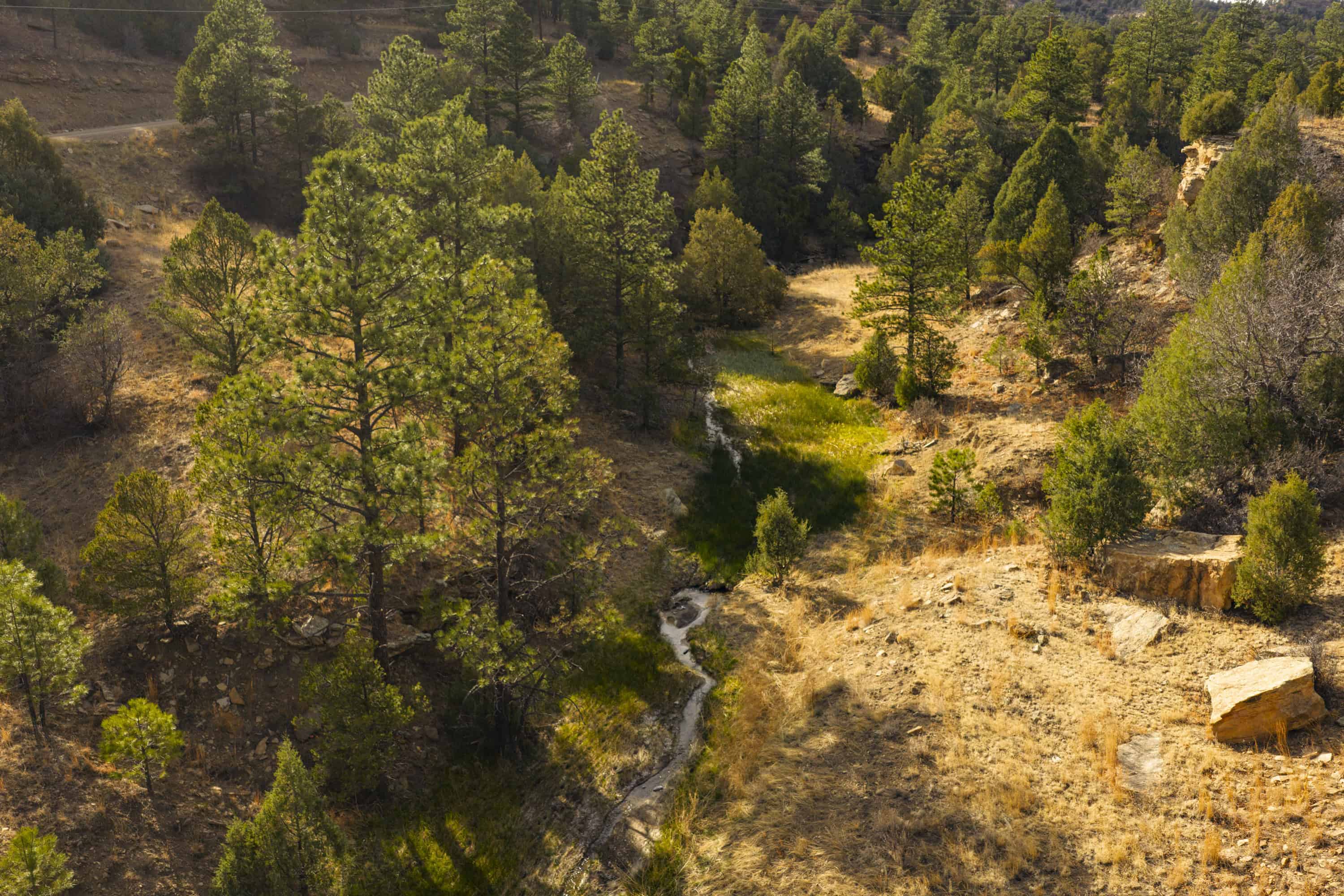 14900 Sh 12 Weston CO 81091