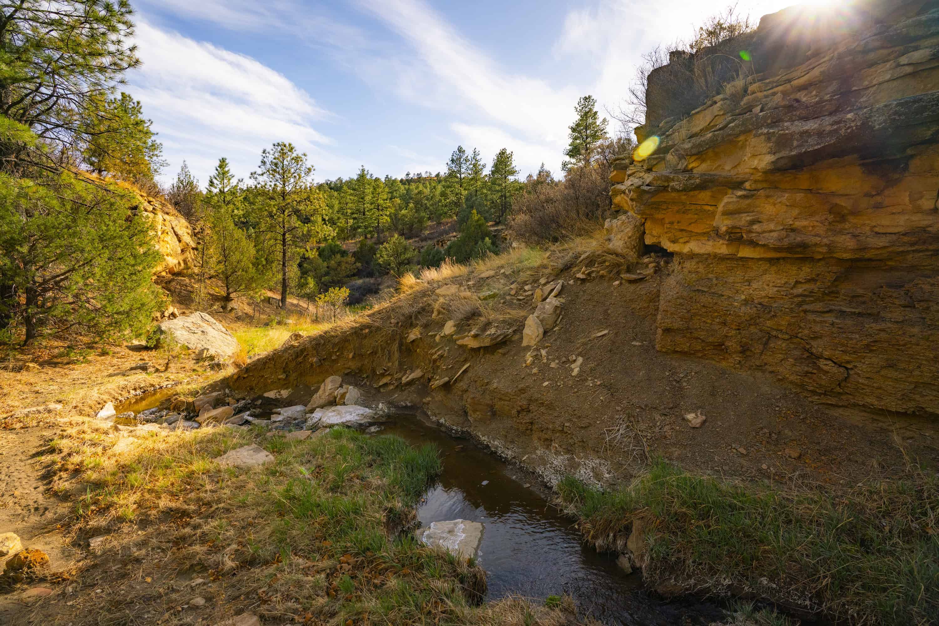 14900 Sh 12 Weston CO 81091