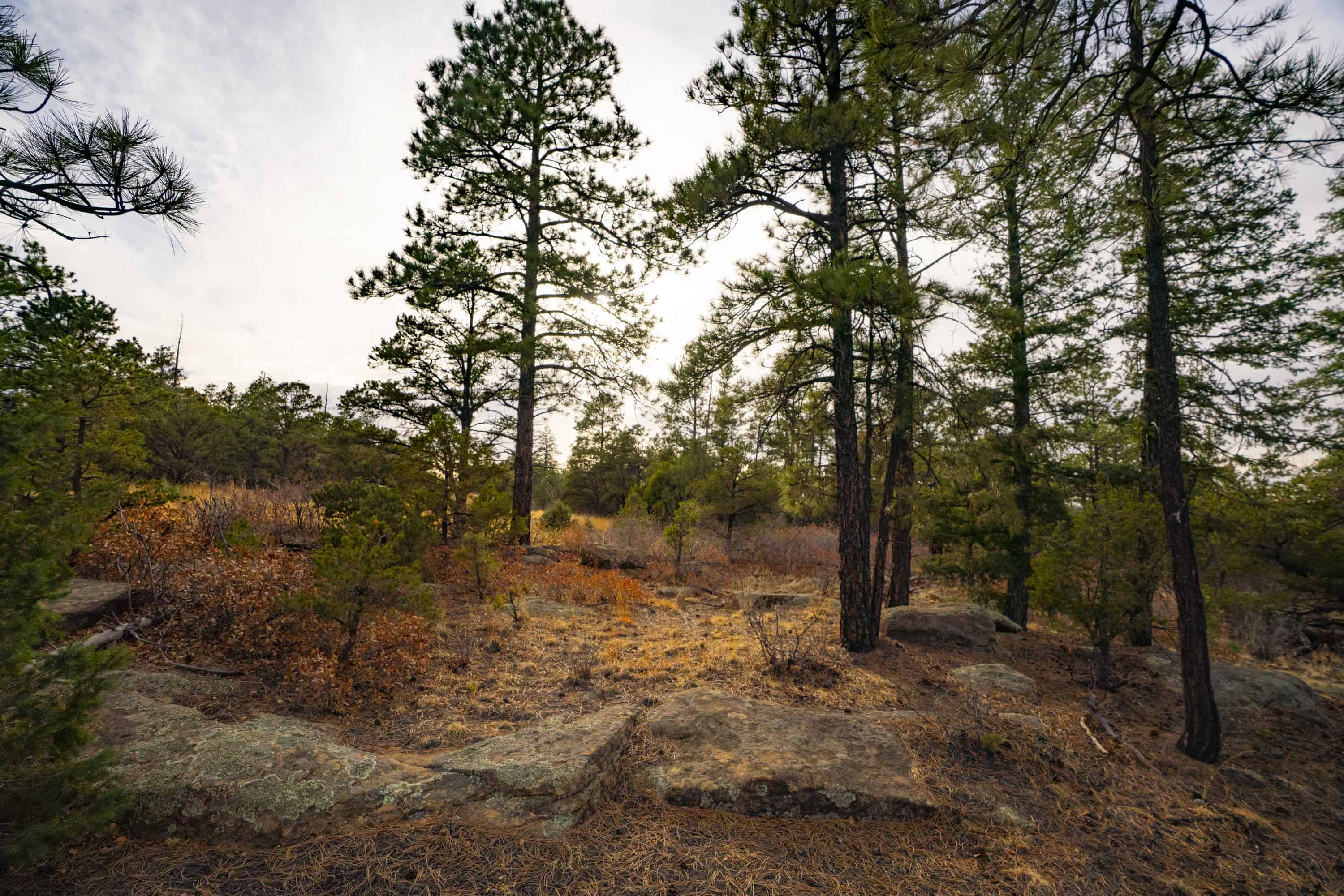 14900 Sh 12 Weston CO 81091