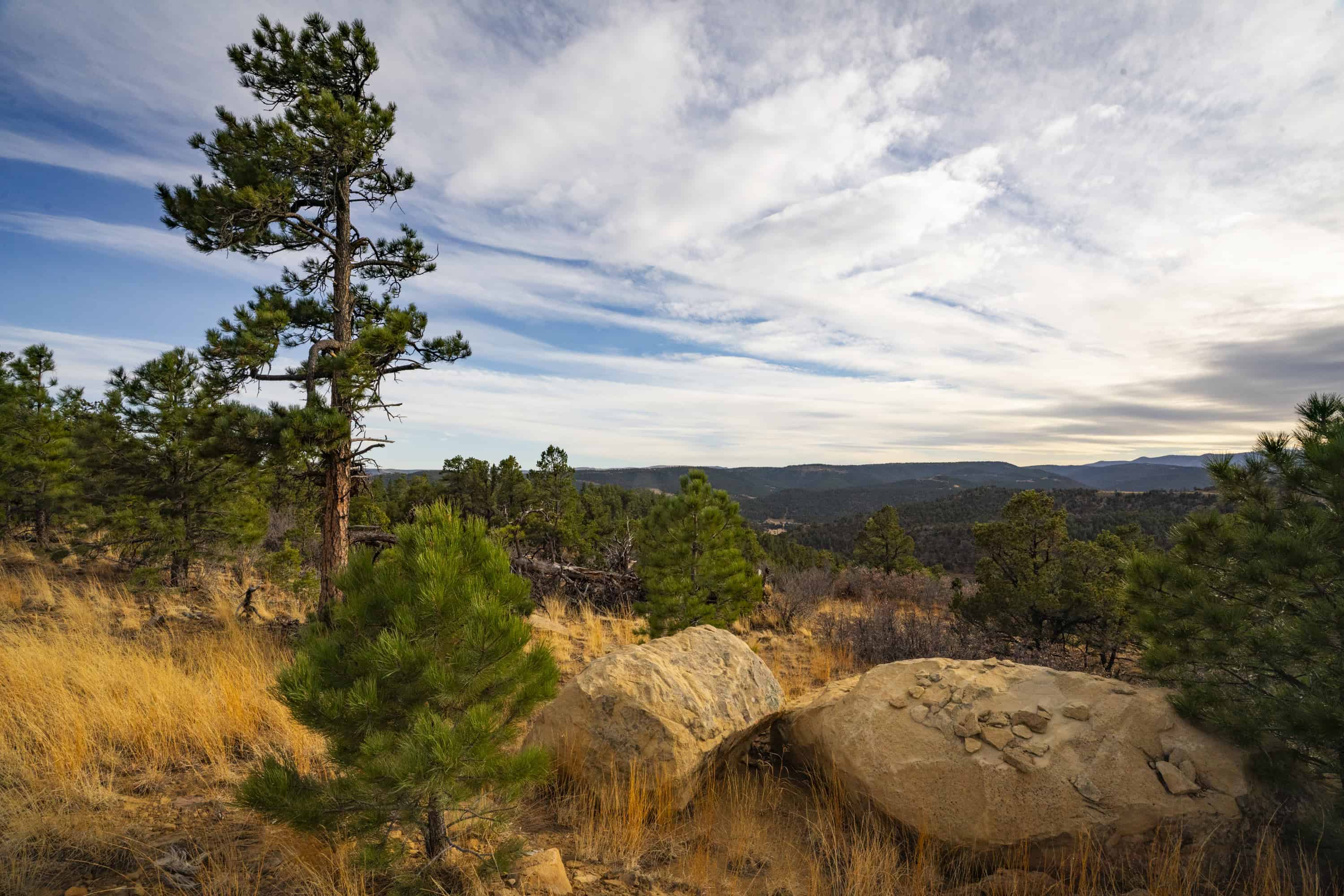 14900 Sh 12 Weston CO 81091