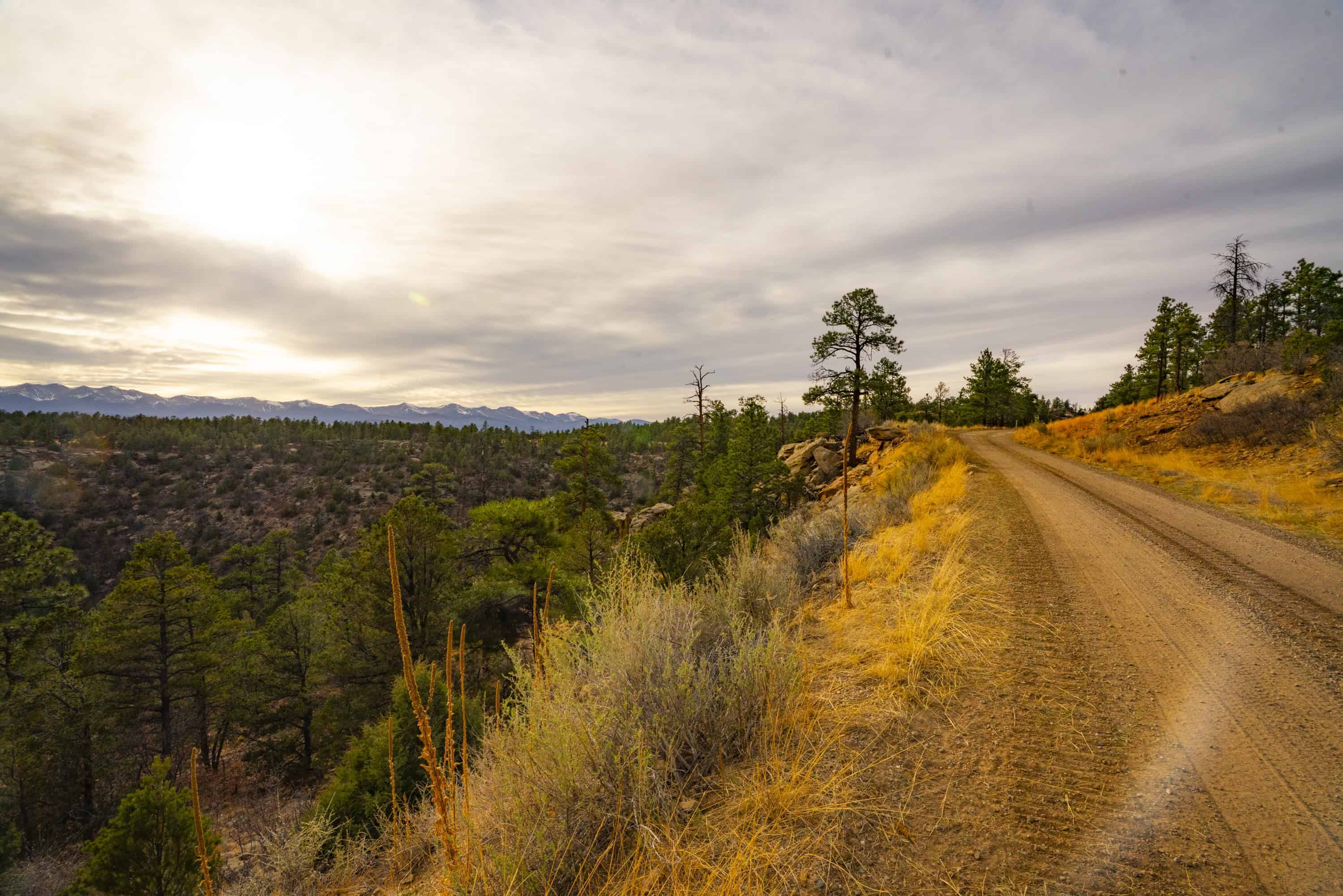 14900 Sh 12 Weston CO 81091