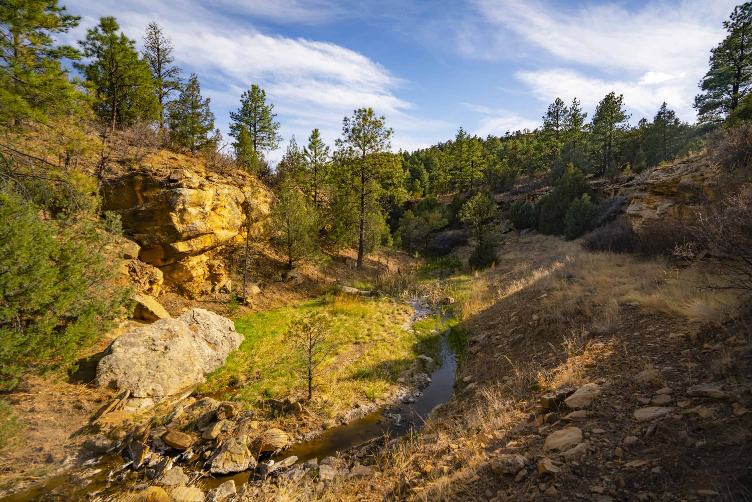 14900 Sh 12 Weston CO 81091
