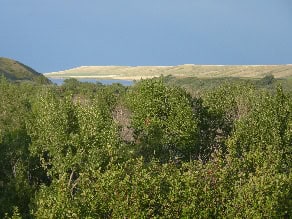 Rr 290 Twin Butte AB T0K 1W0