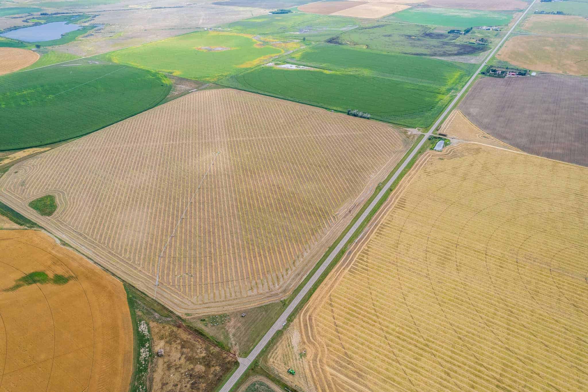 County of Newell AB