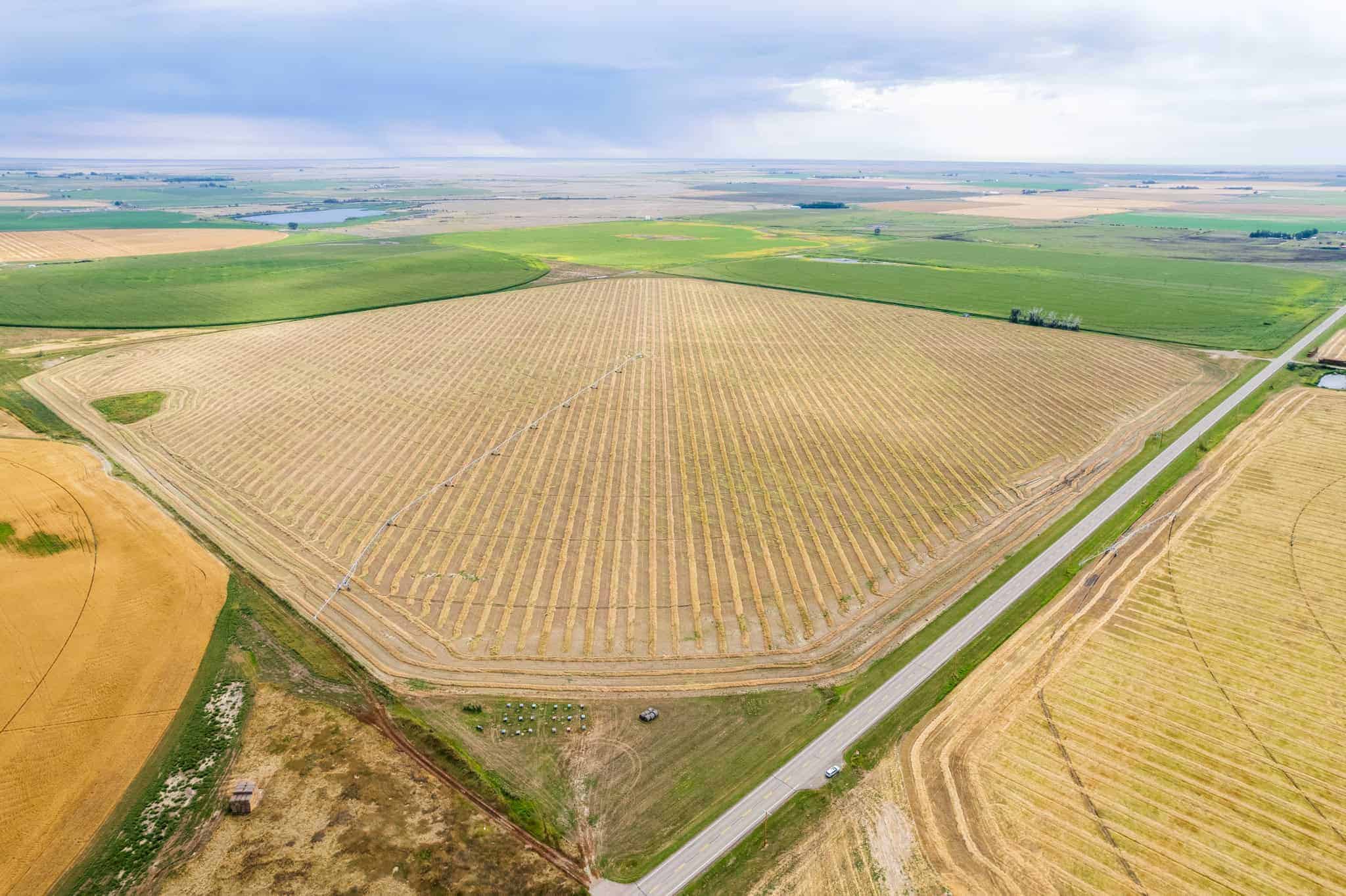 County of Newell AB