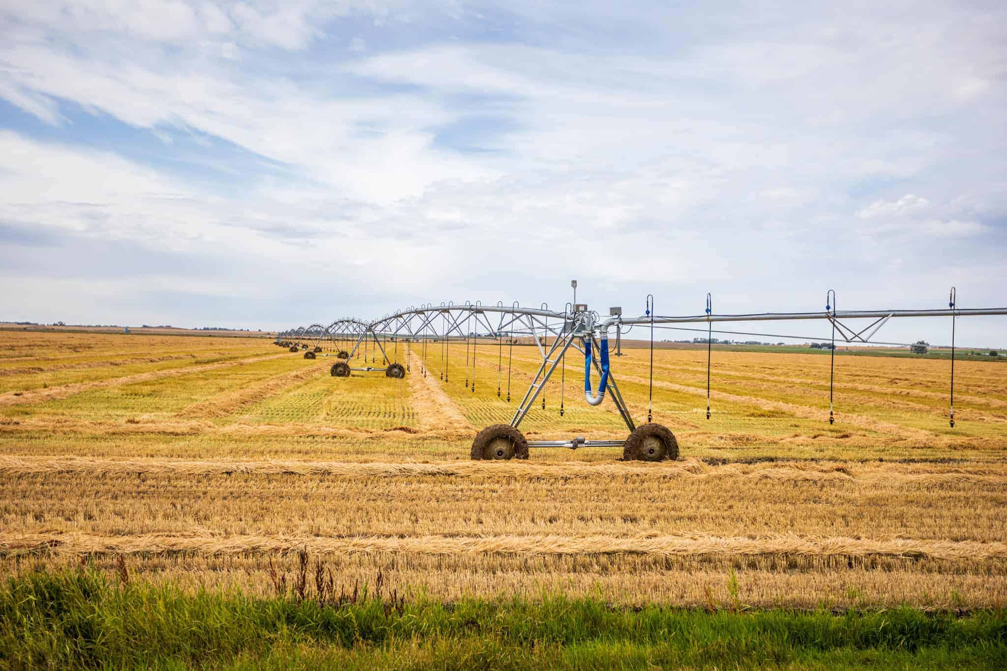 County of Newell AB