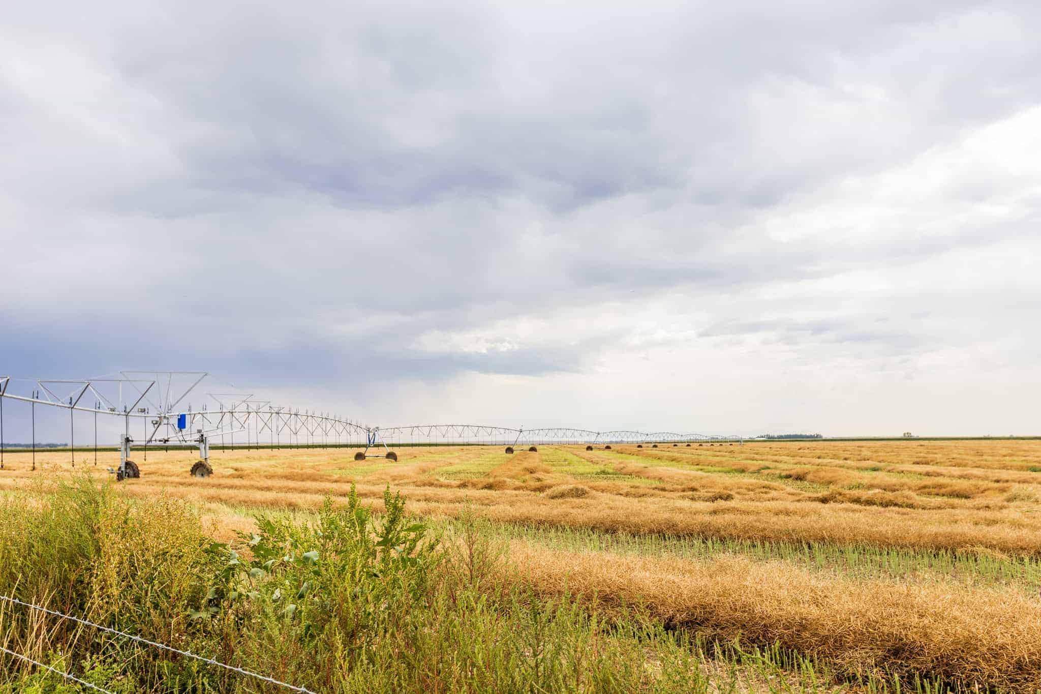 County of Newell AB