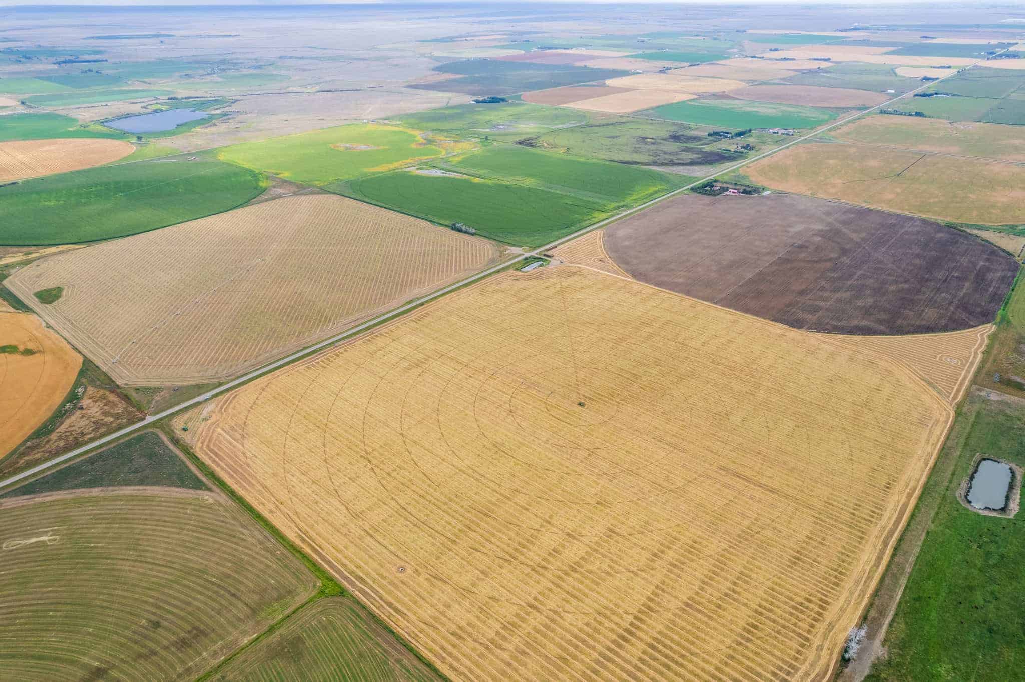 County of Newell AB