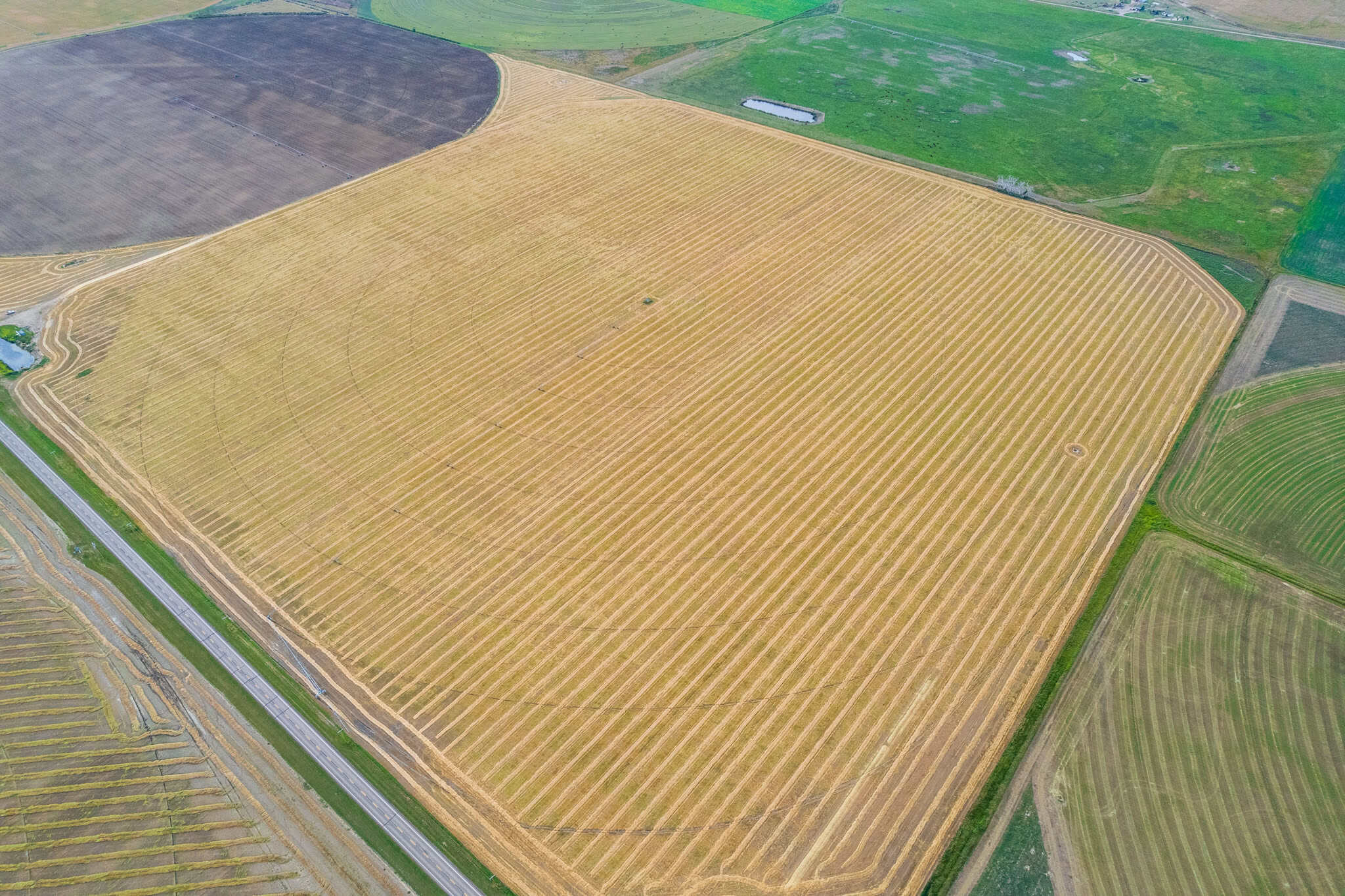 County of Newell AB