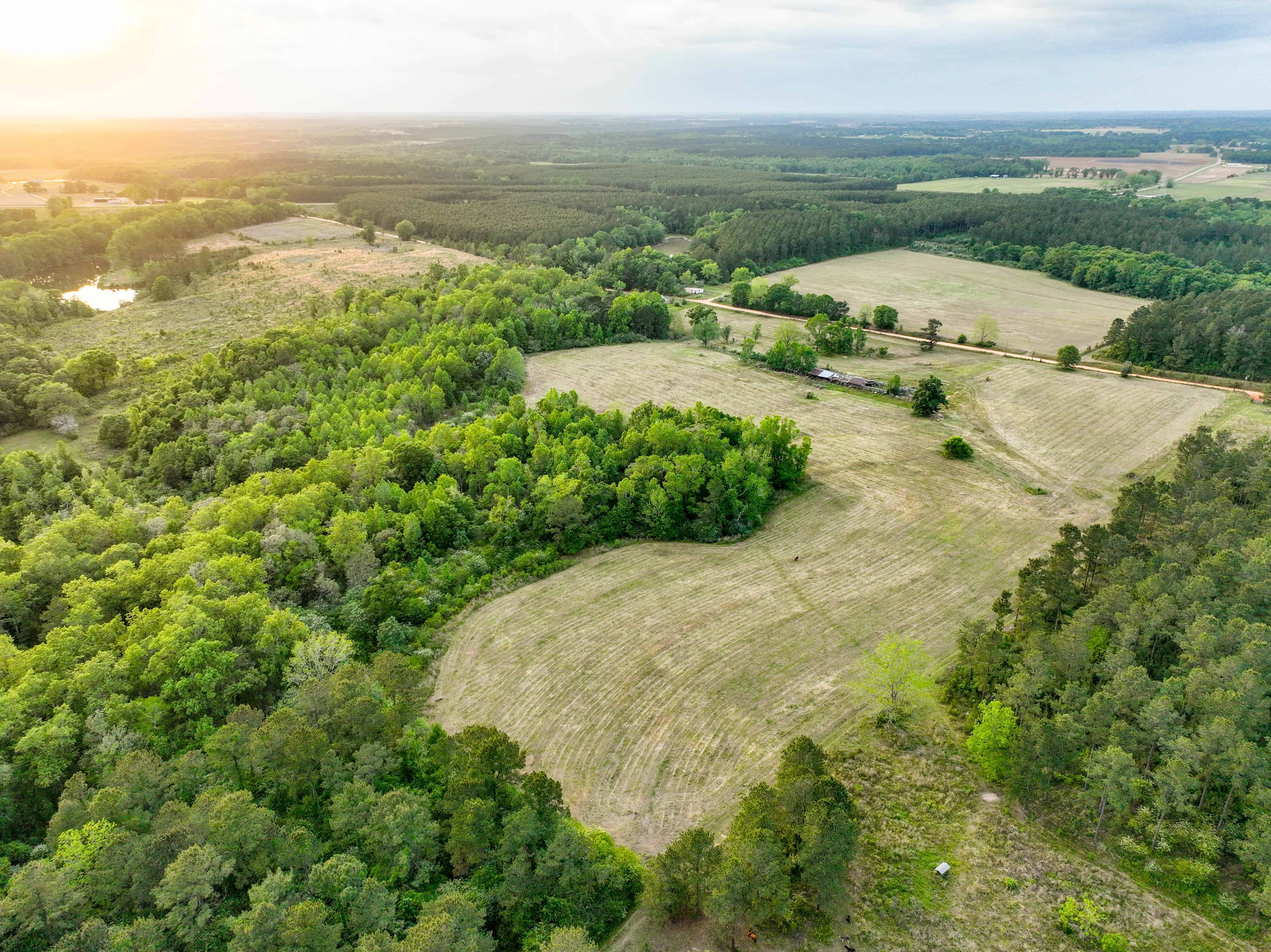 County Road 663 Coffee Springs AL 36318