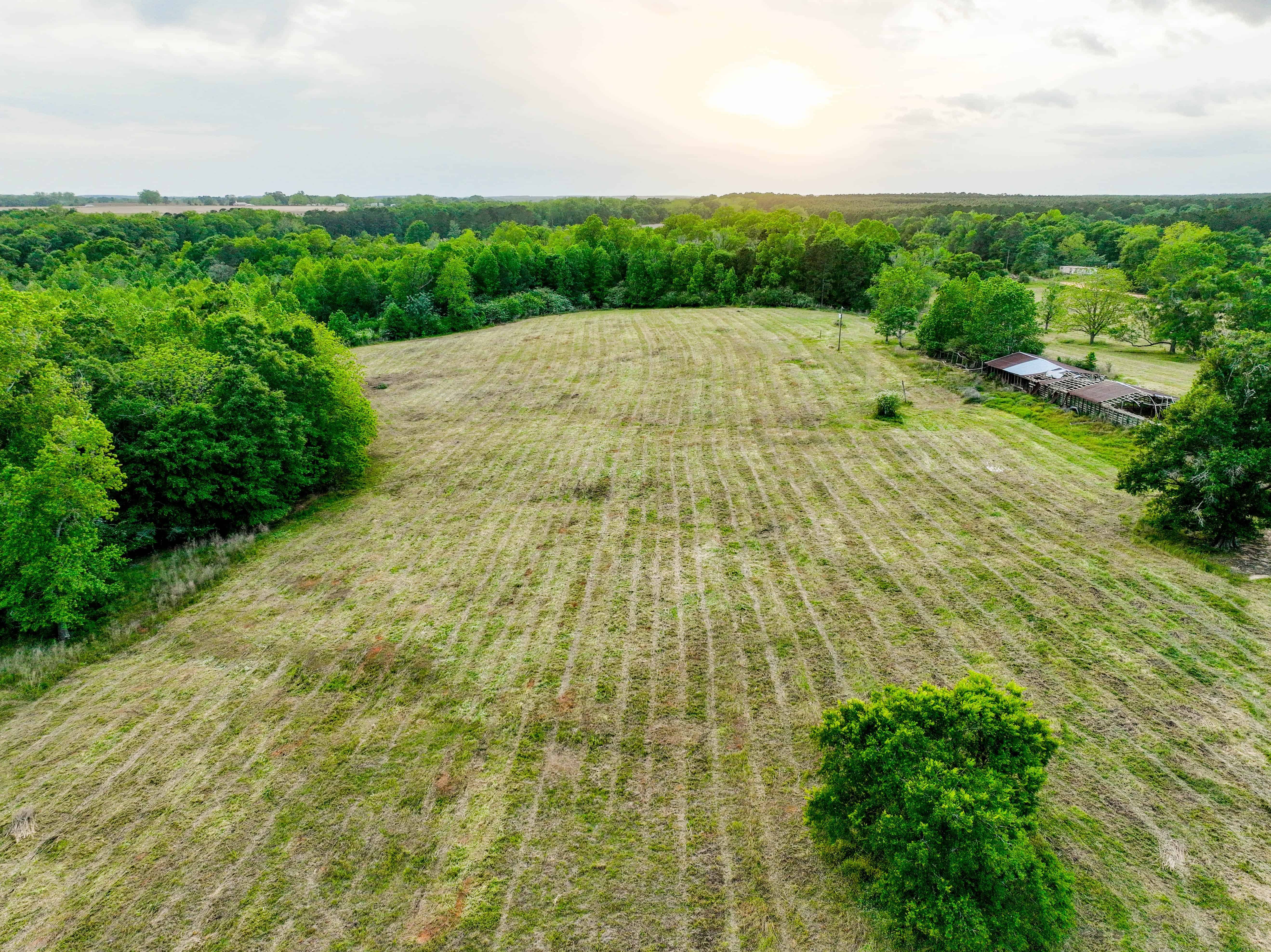 County Road 663 Coffee Springs AL 36318