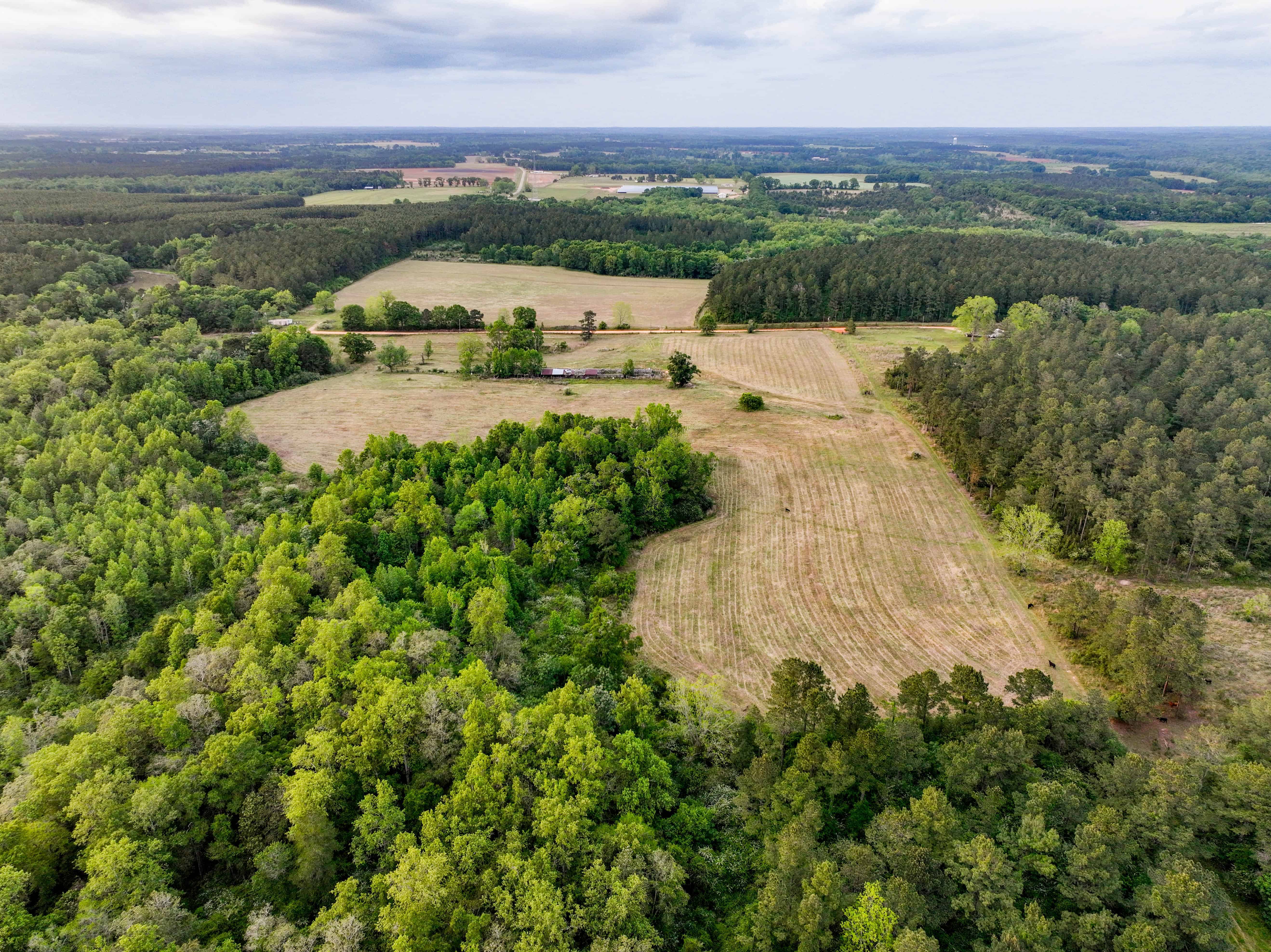 County Road 663 Coffee Springs AL 36318