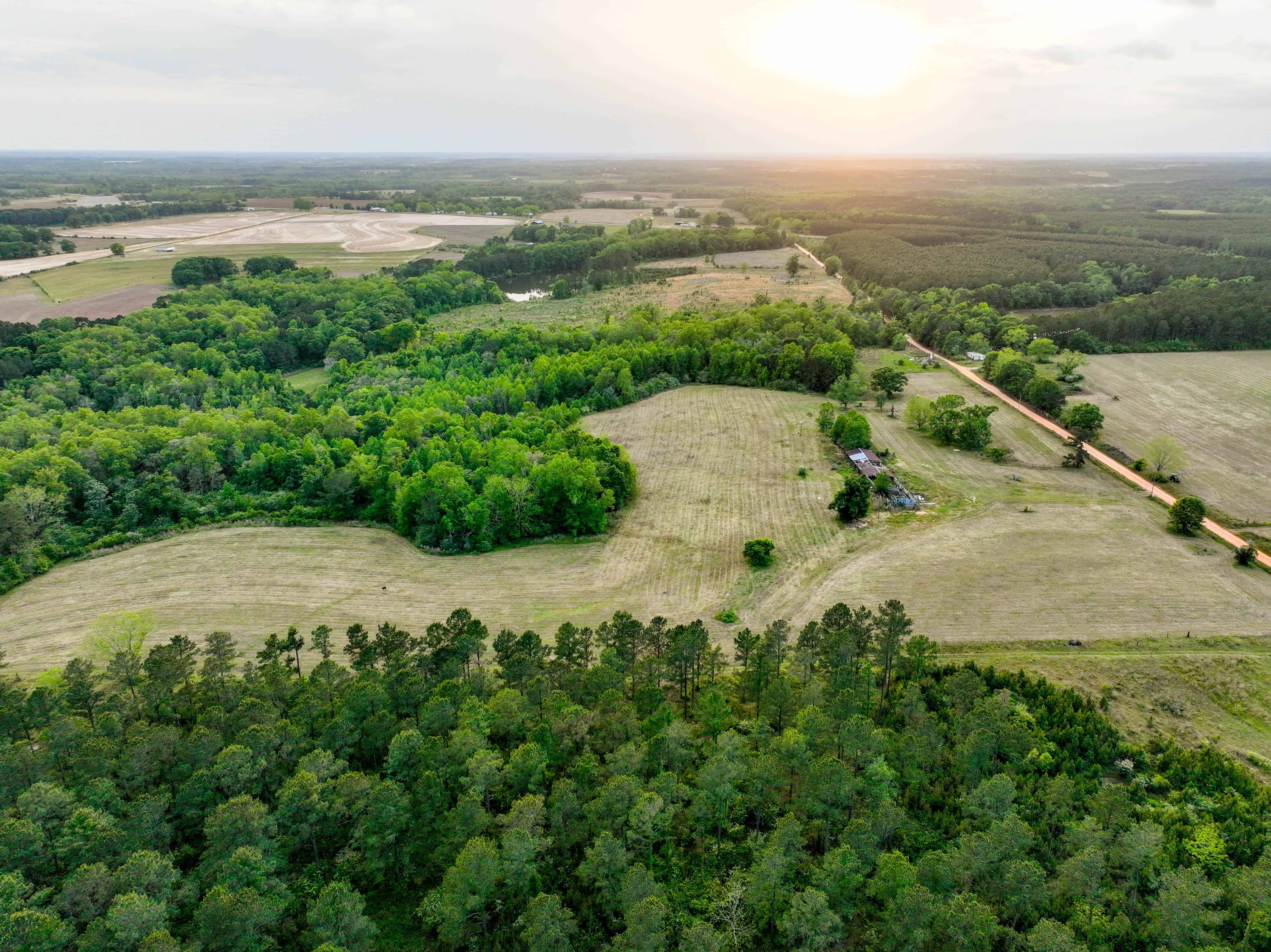 County Road 663 Coffee Springs AL 36318