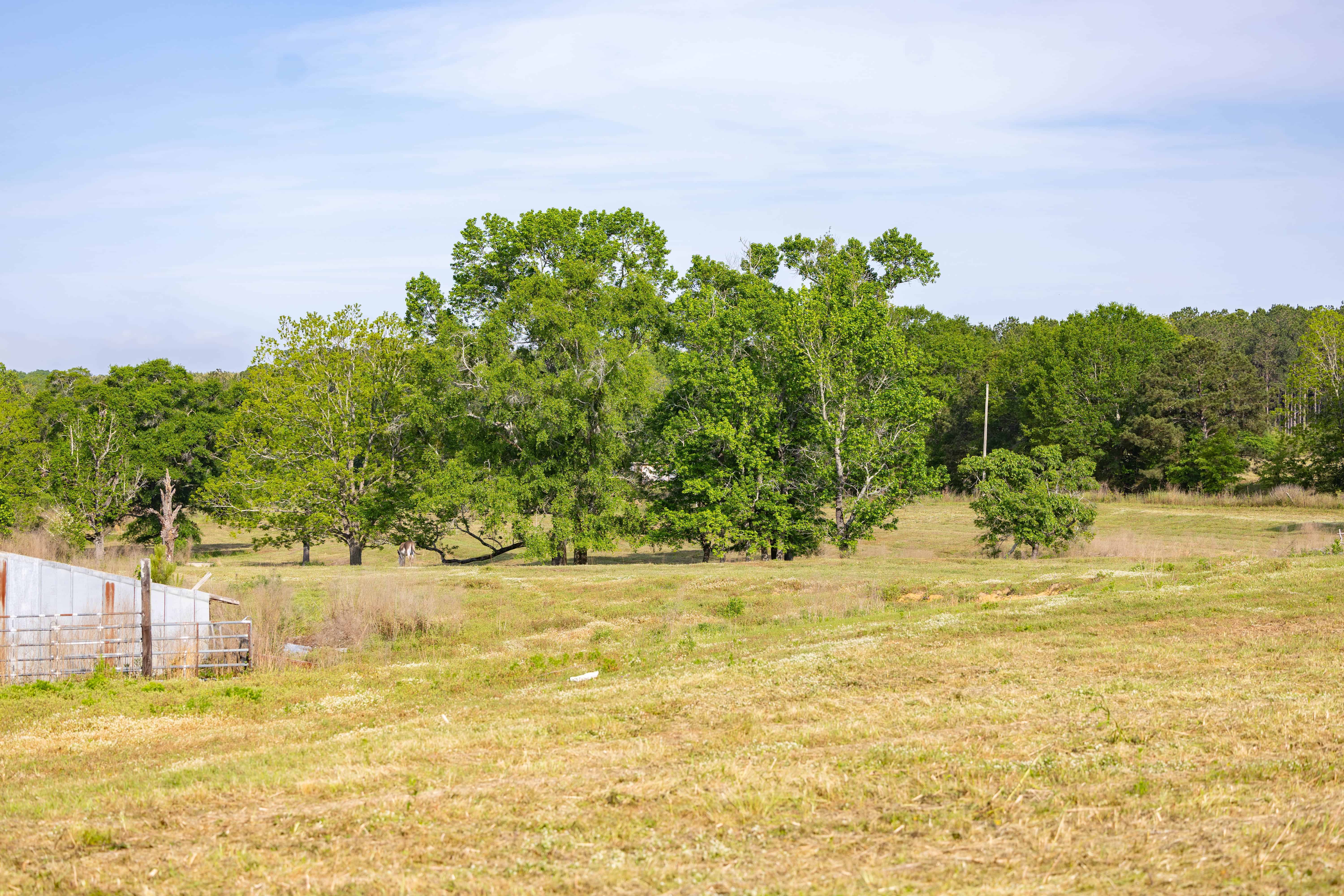 County Road 663 Coffee Springs AL 36318