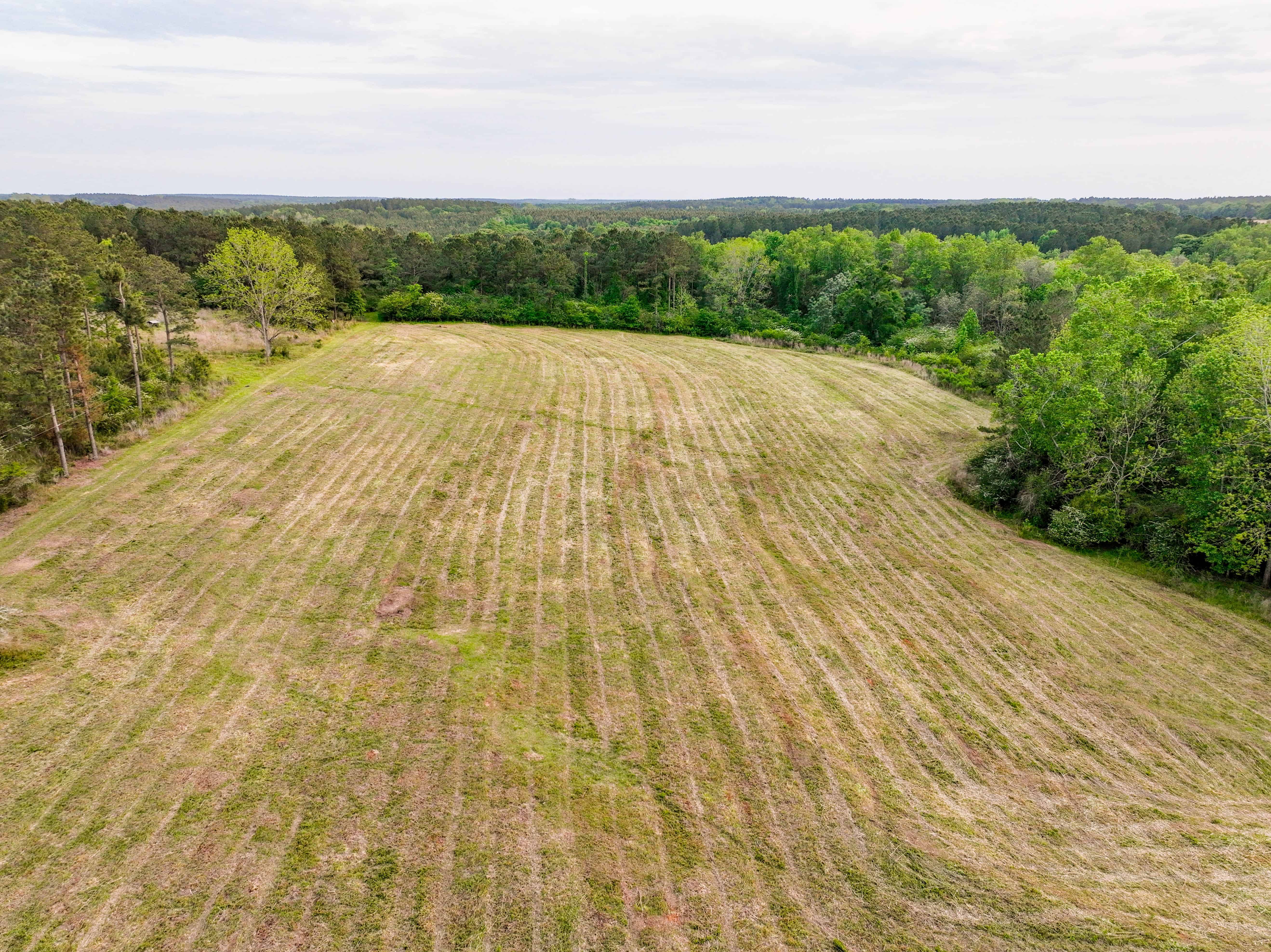 County Road 663 Coffee Springs AL 36318