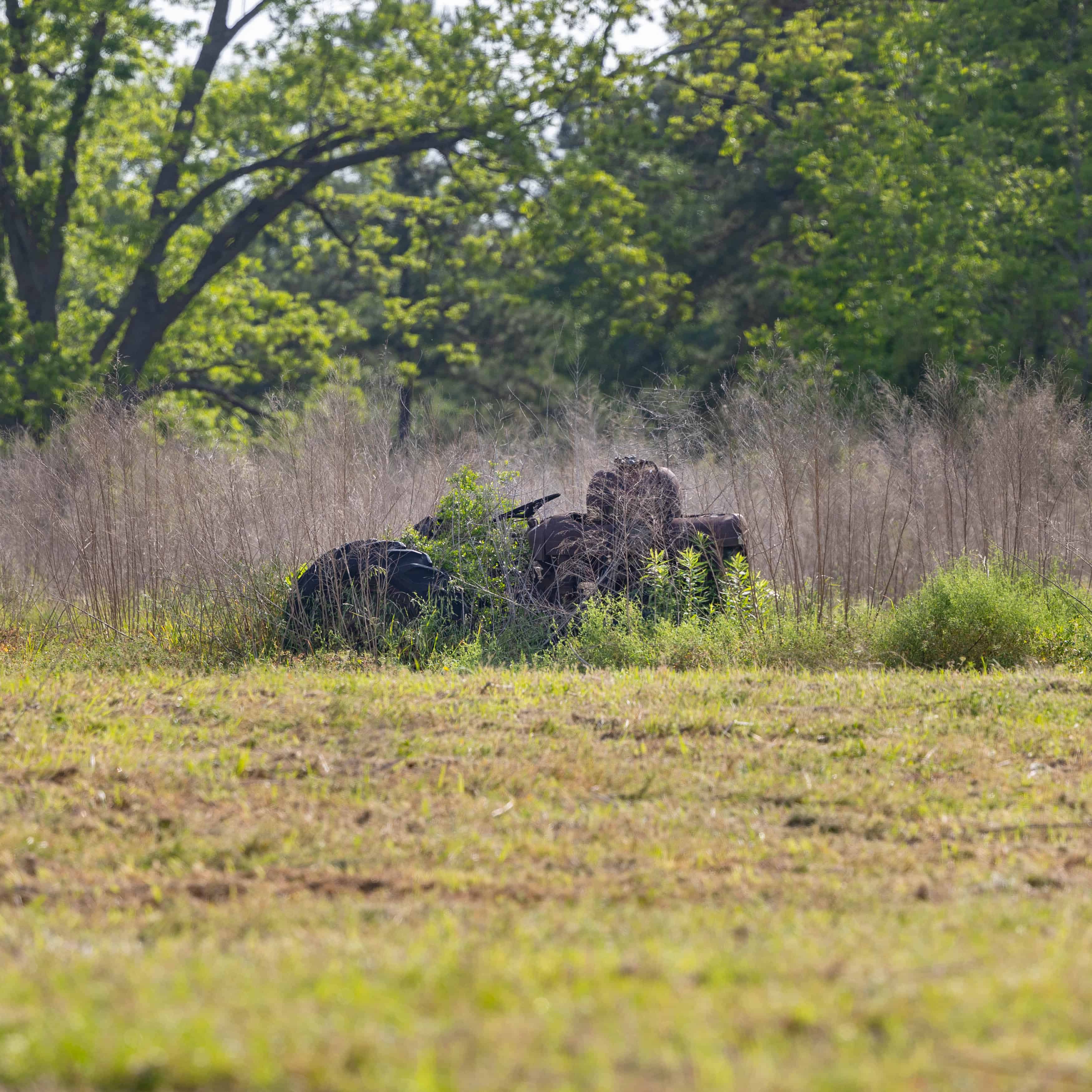 County Road 663 Coffee Springs AL 36318