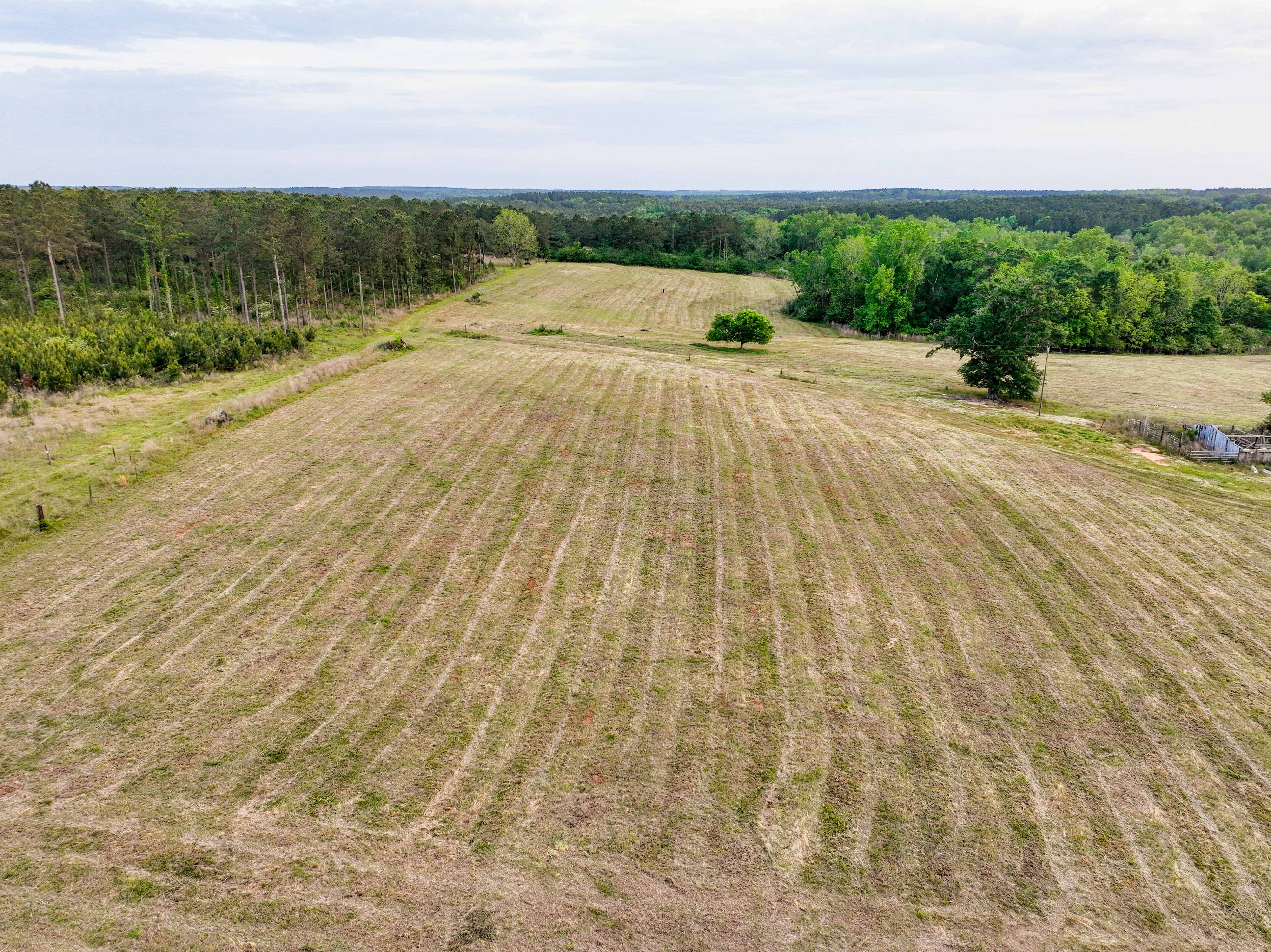 County Road 663 Coffee Springs AL 36318