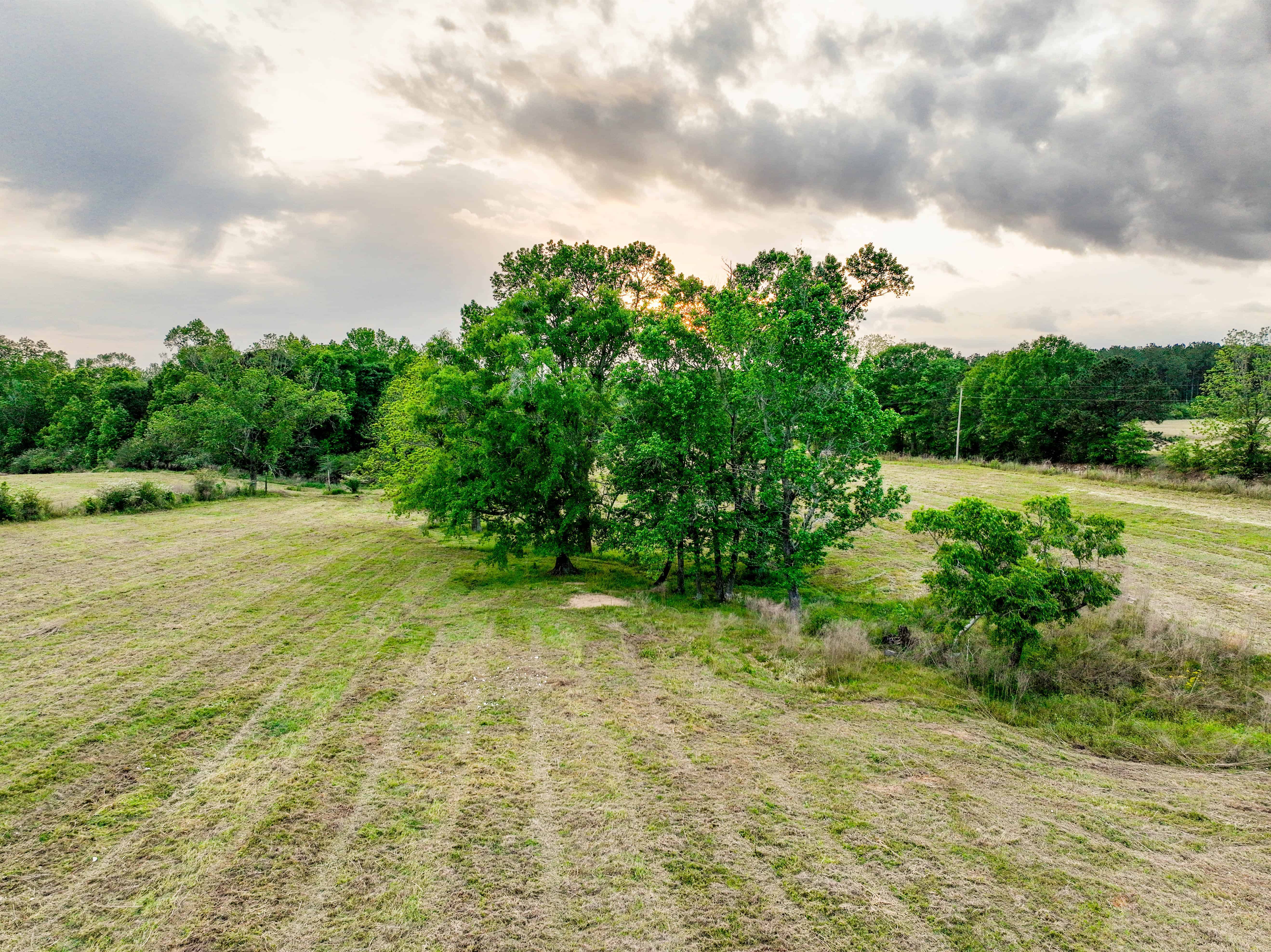 County Road 663 Coffee Springs AL 36318