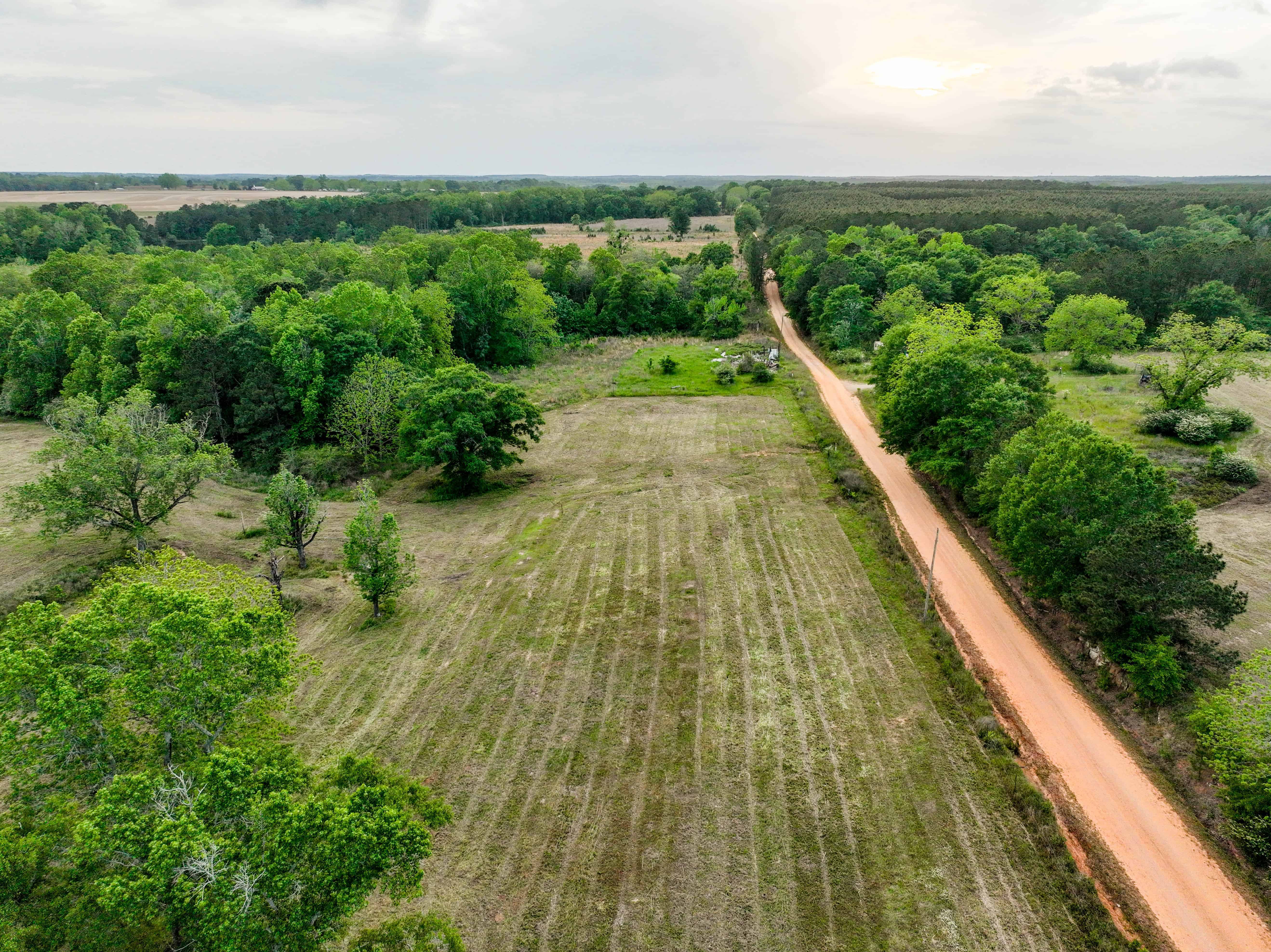 County Road 663 Coffee Springs AL 36318