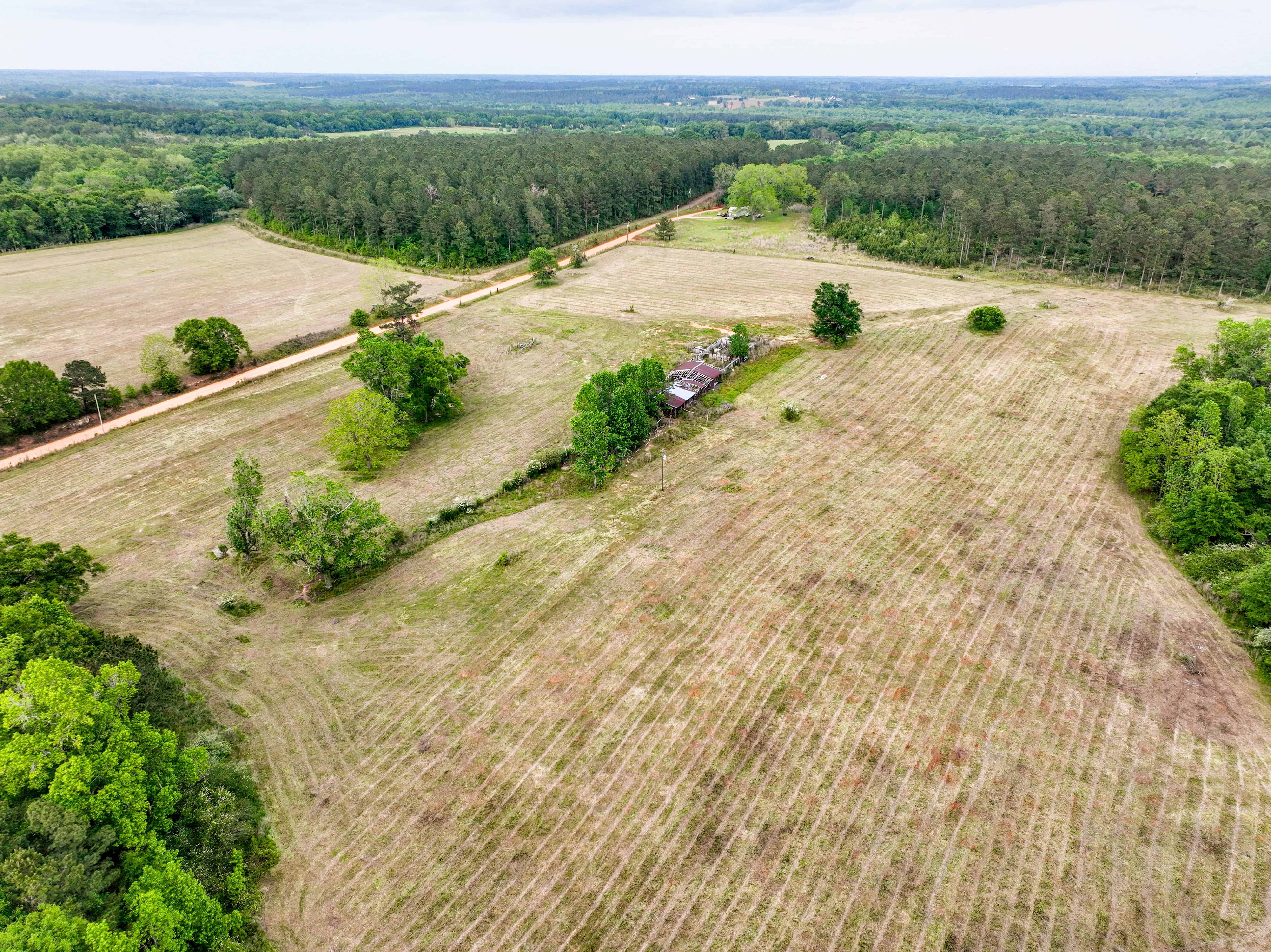 County Road 663 Coffee Springs AL 36318