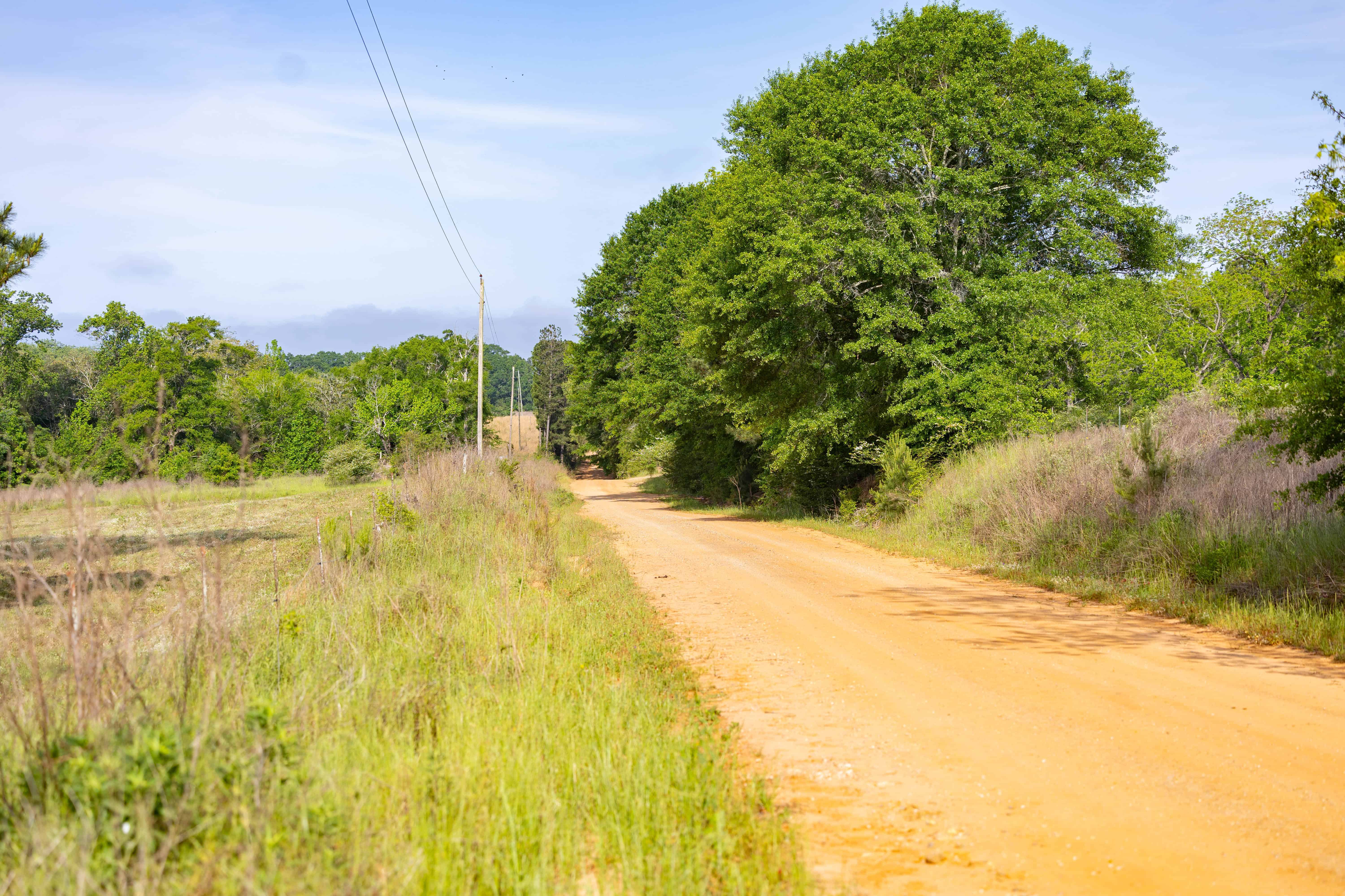 County Road 663 Coffee Springs AL 36318