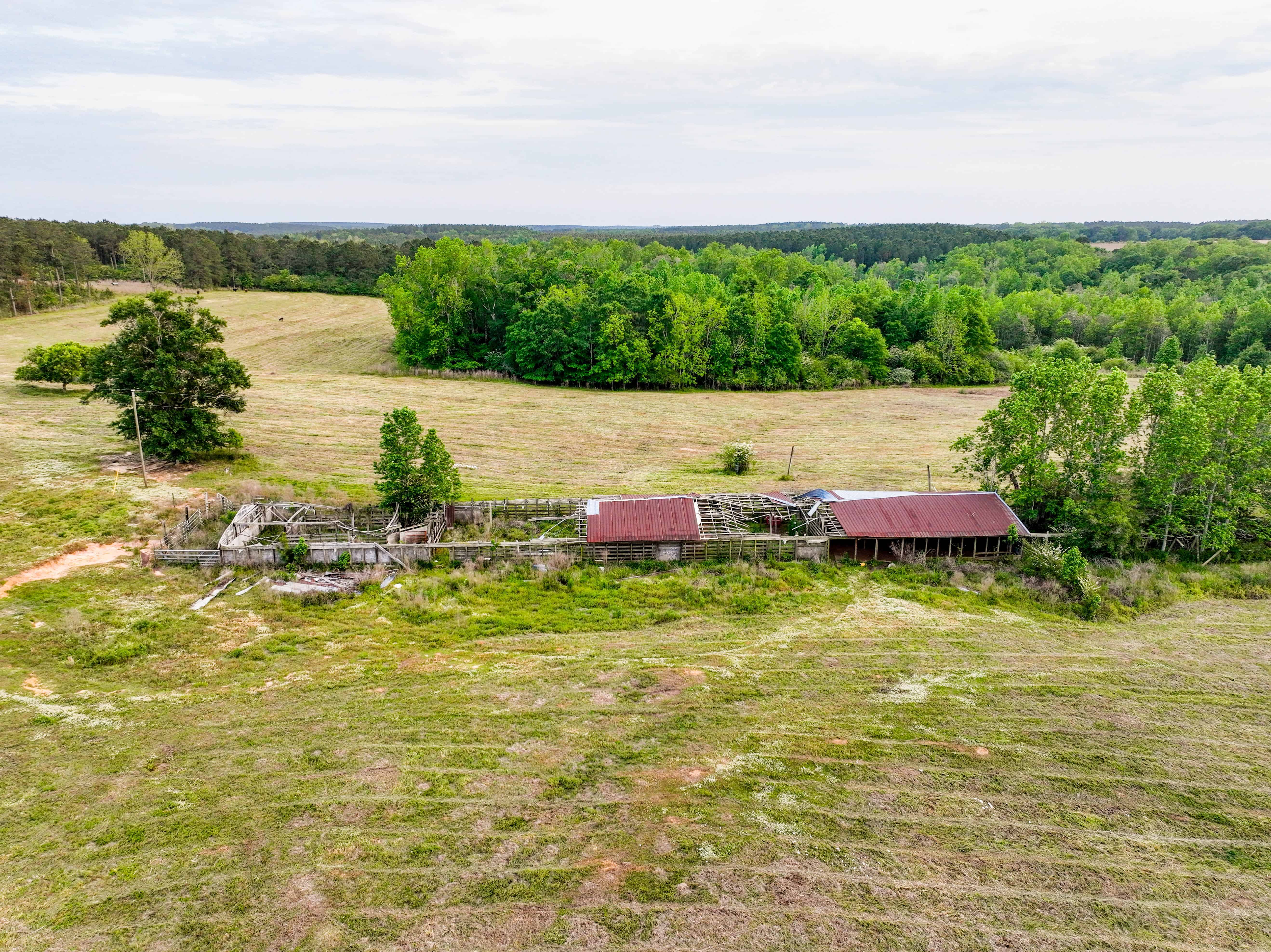 County Road 663 Coffee Springs AL 36318